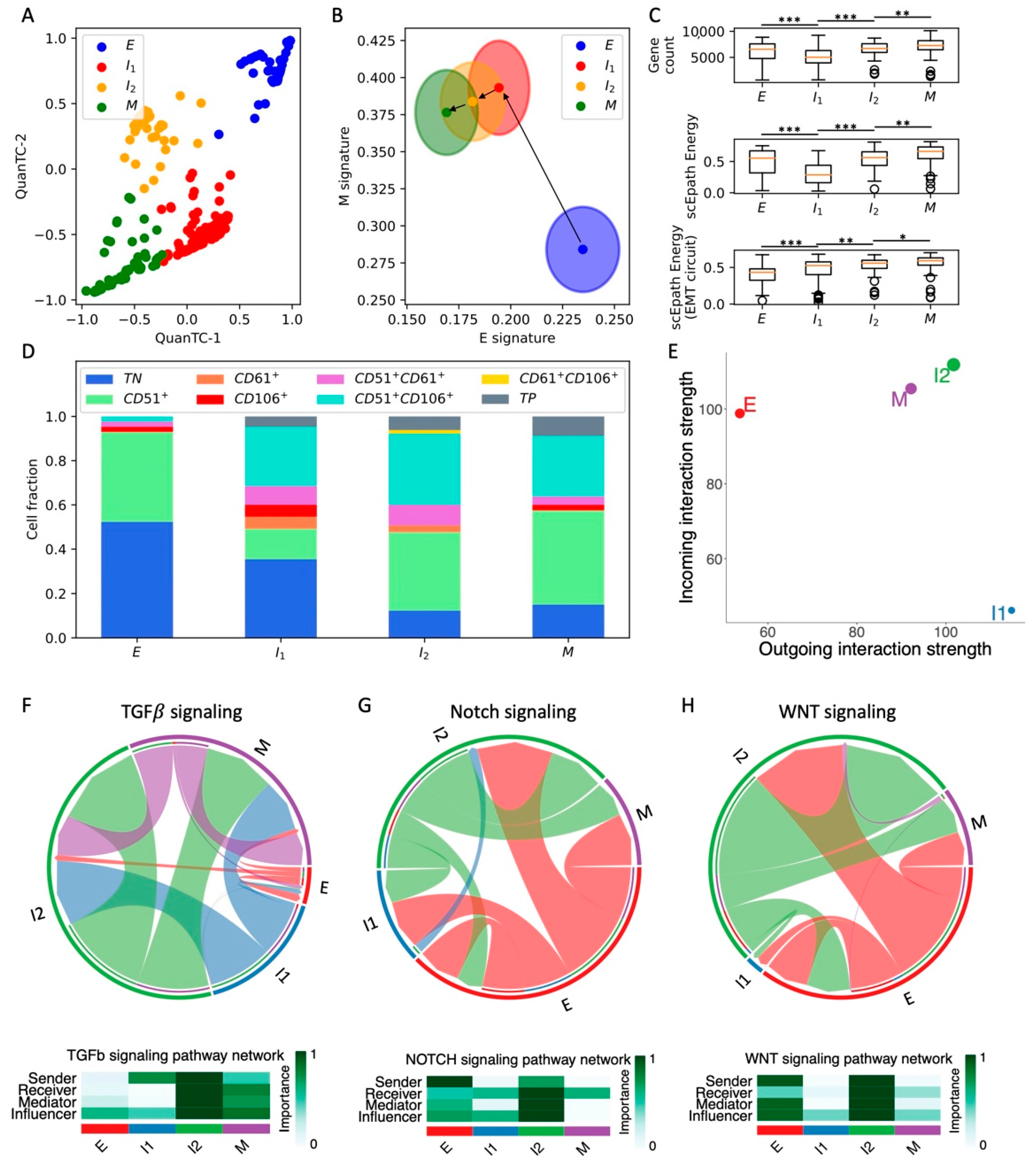 Cancers 13 05726 g001
