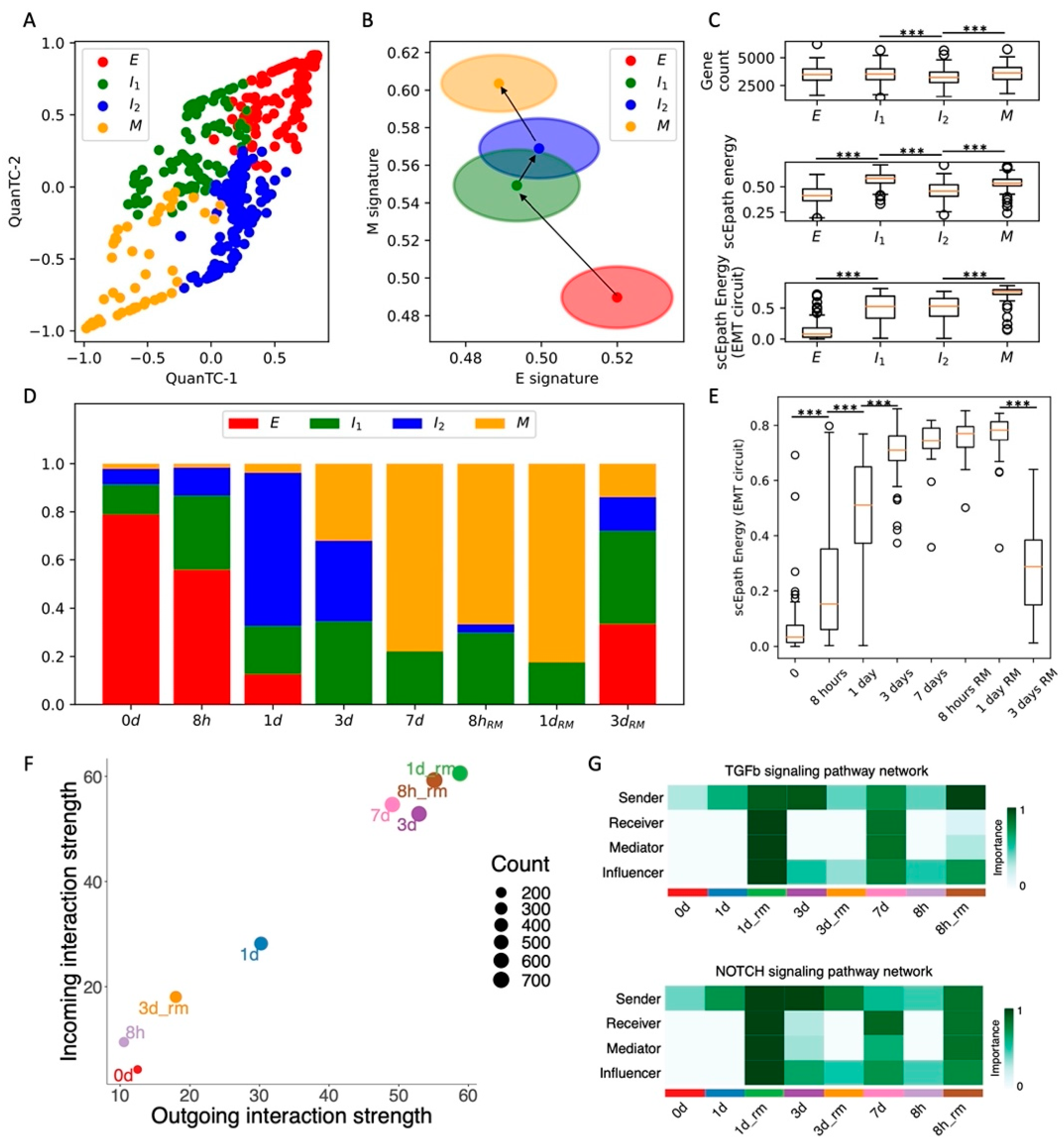Cancers 13 05726 g002