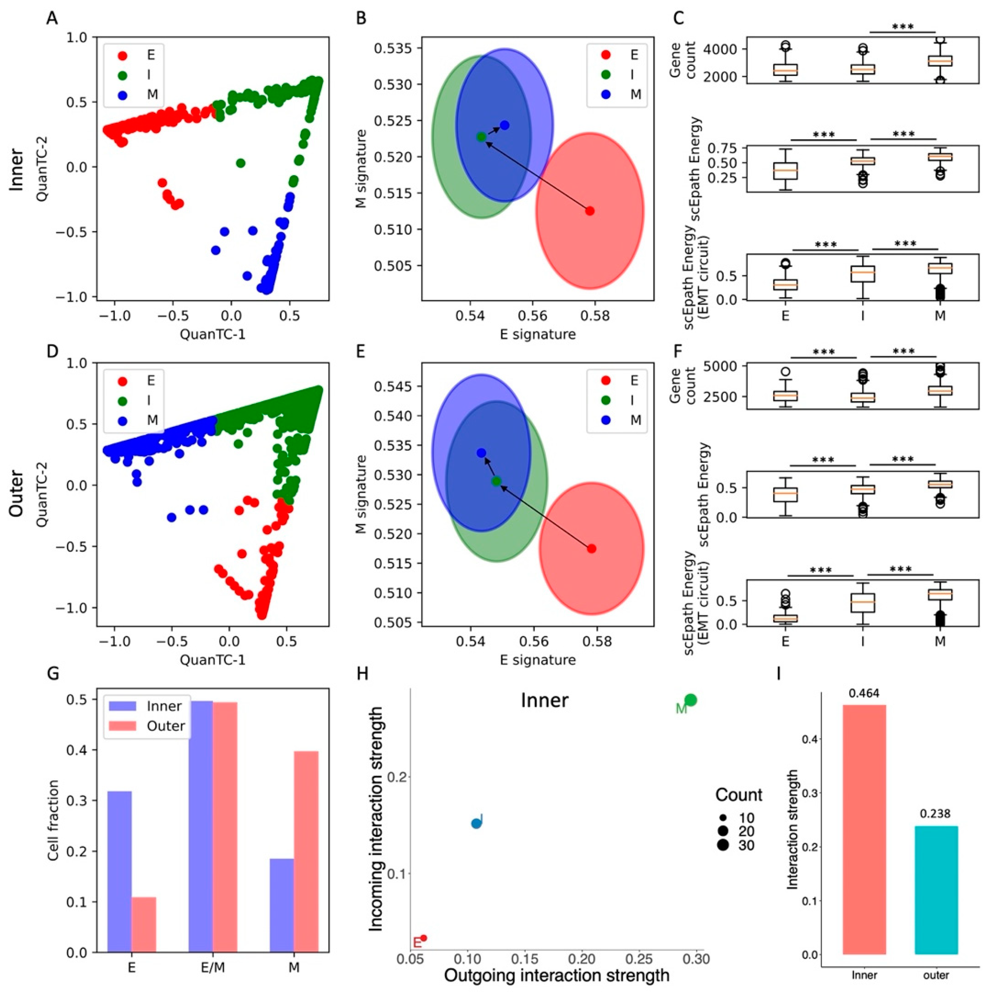 Cancers 13 05726 g004