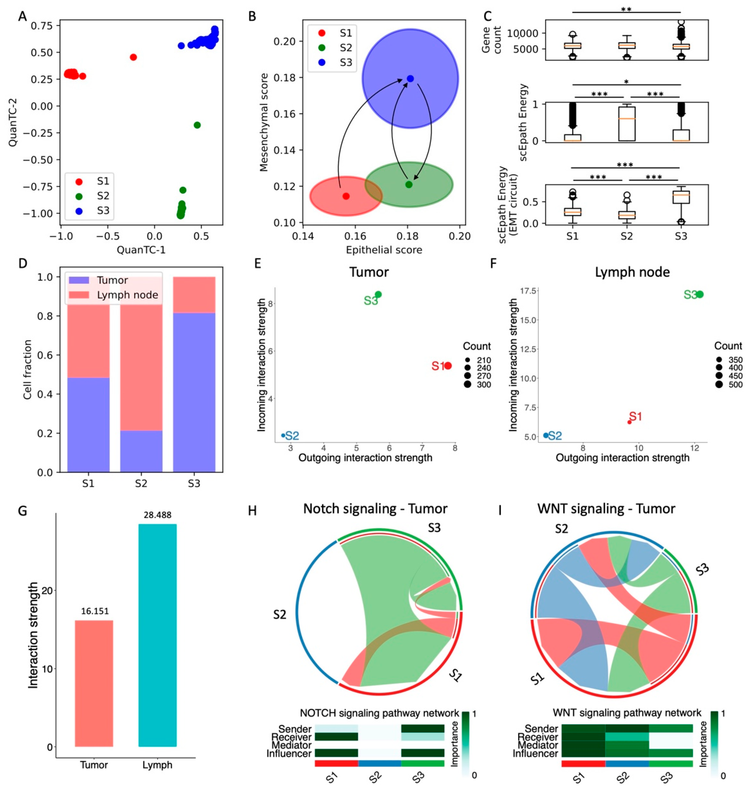 Cancers 13 05726 g005