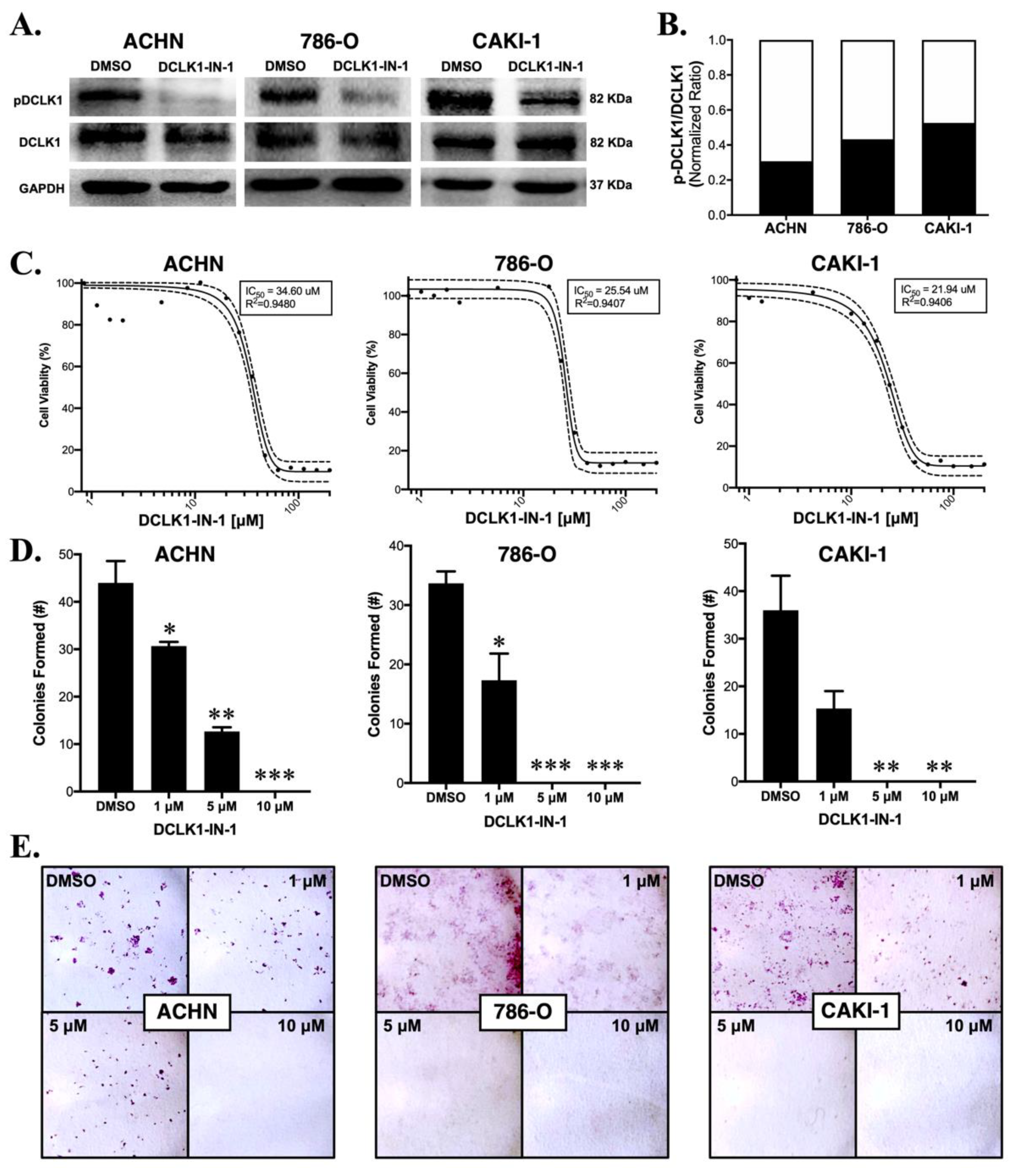Cancers 13 05729 g001