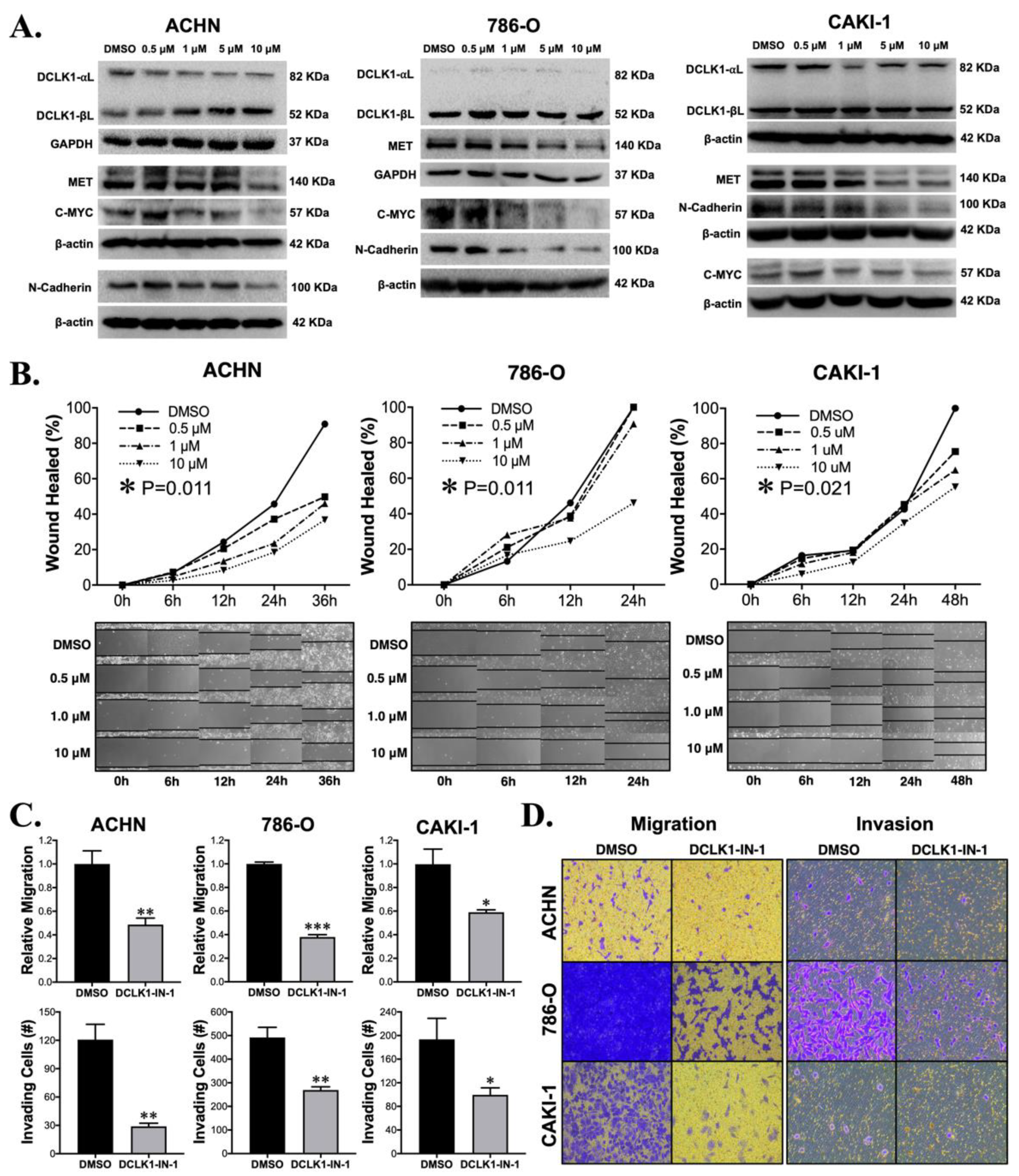 Cancers 13 05729 g002