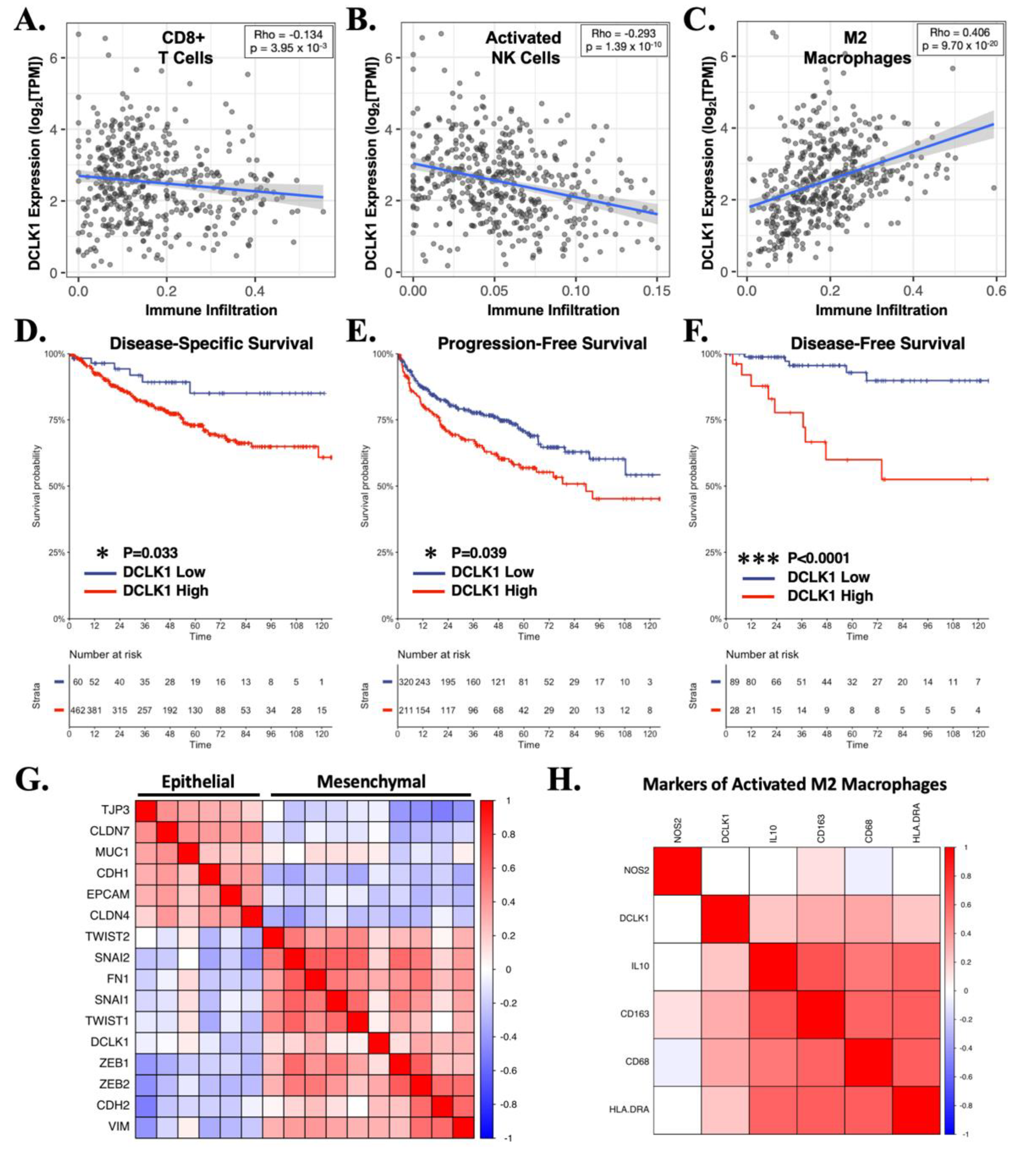 Cancers 13 05729 g005