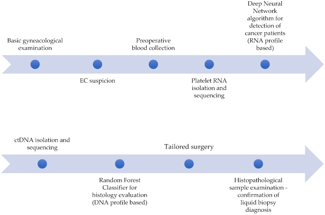 Cancers 13 05731 g001