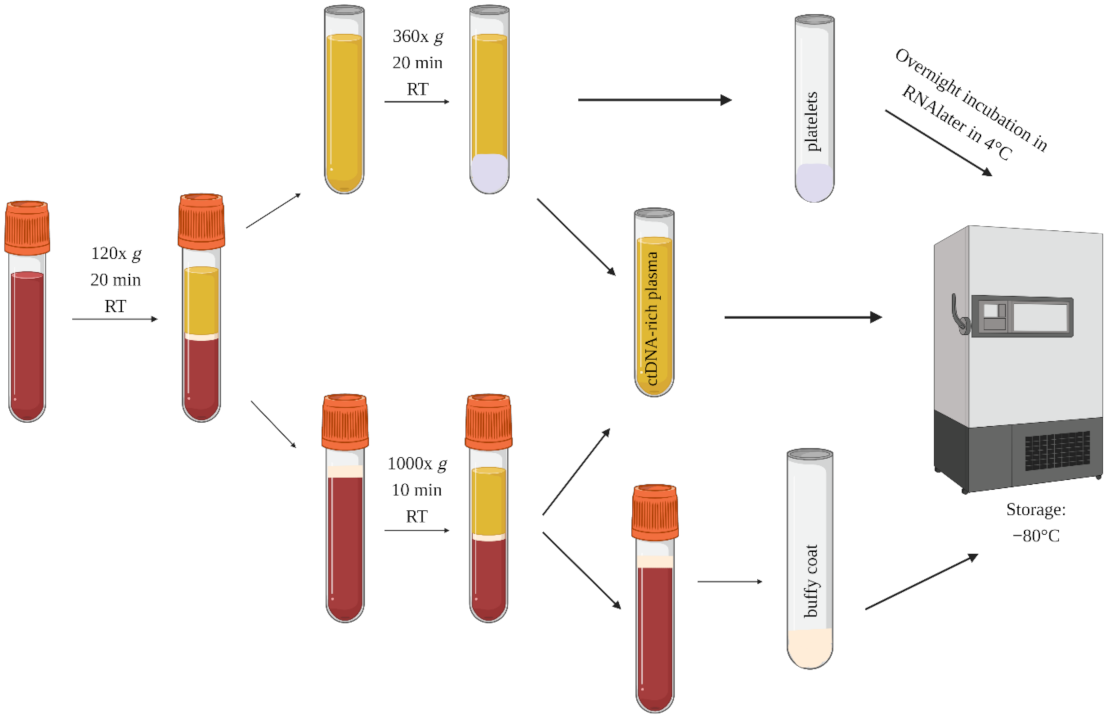 Cancers 13 05731 g002