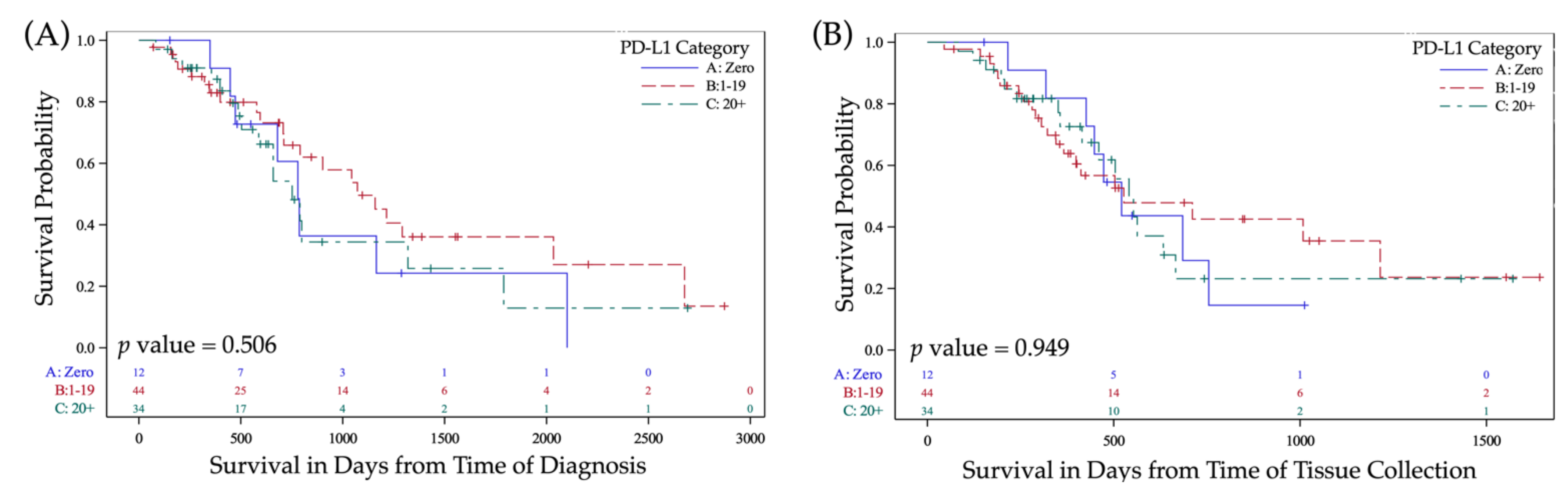 Cancers 13 05733 g003a