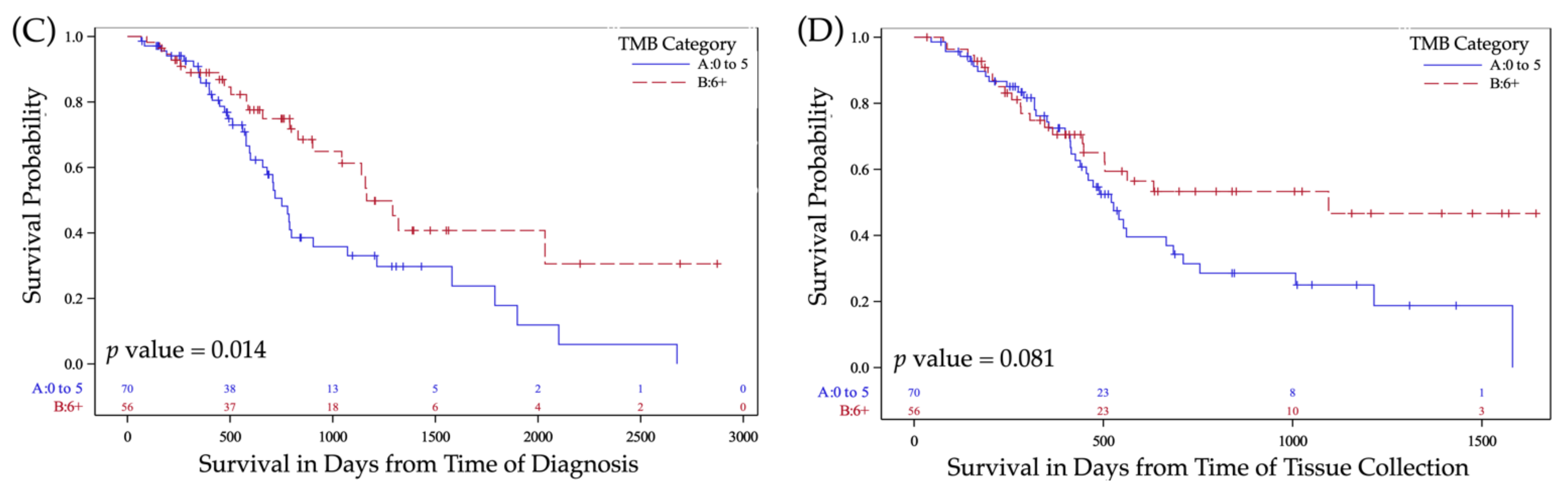 Cancers 13 05733 g003b
