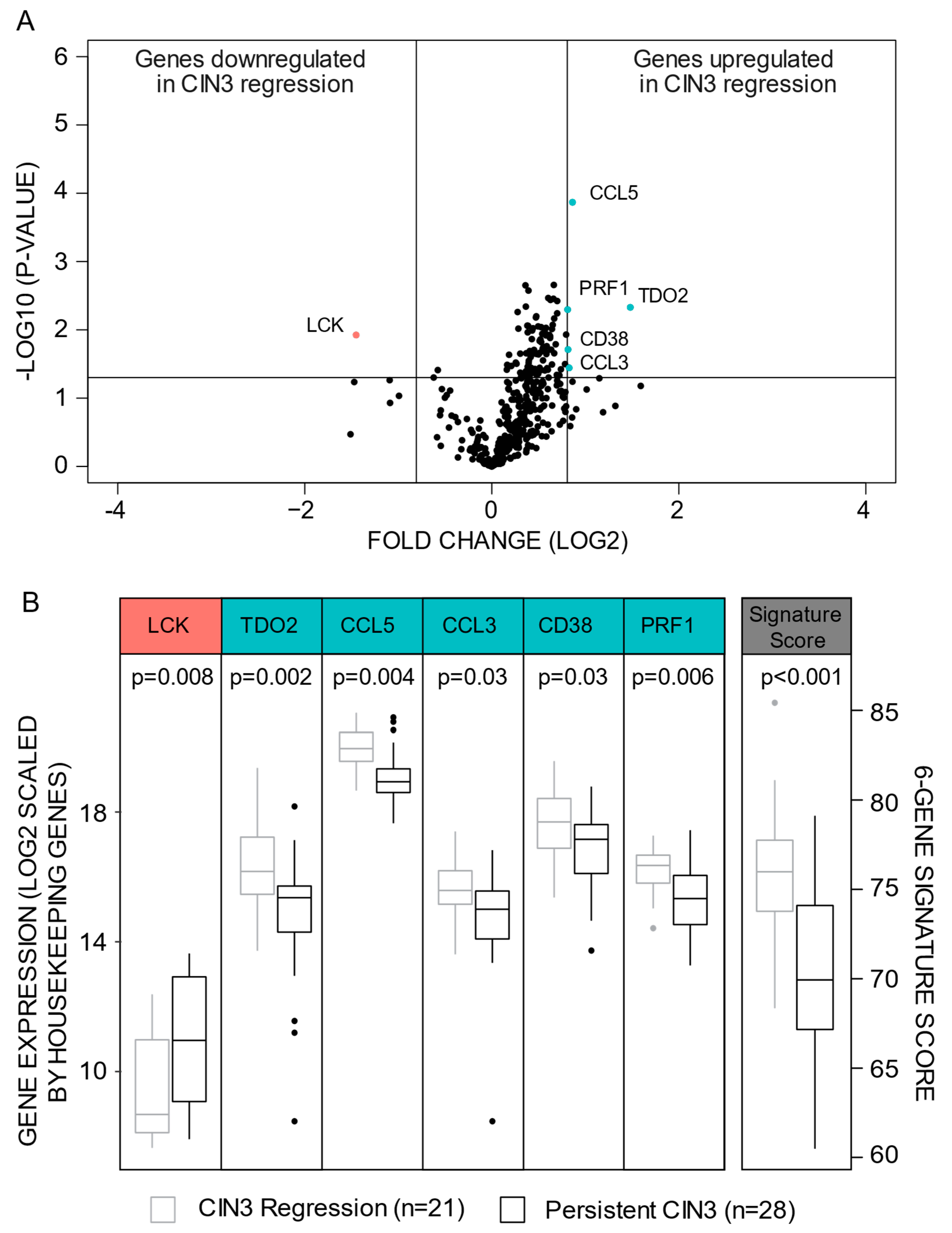 Cancers 13 05737 g001