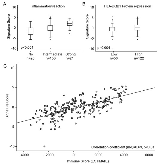 Cancers 13 05737 g004 550