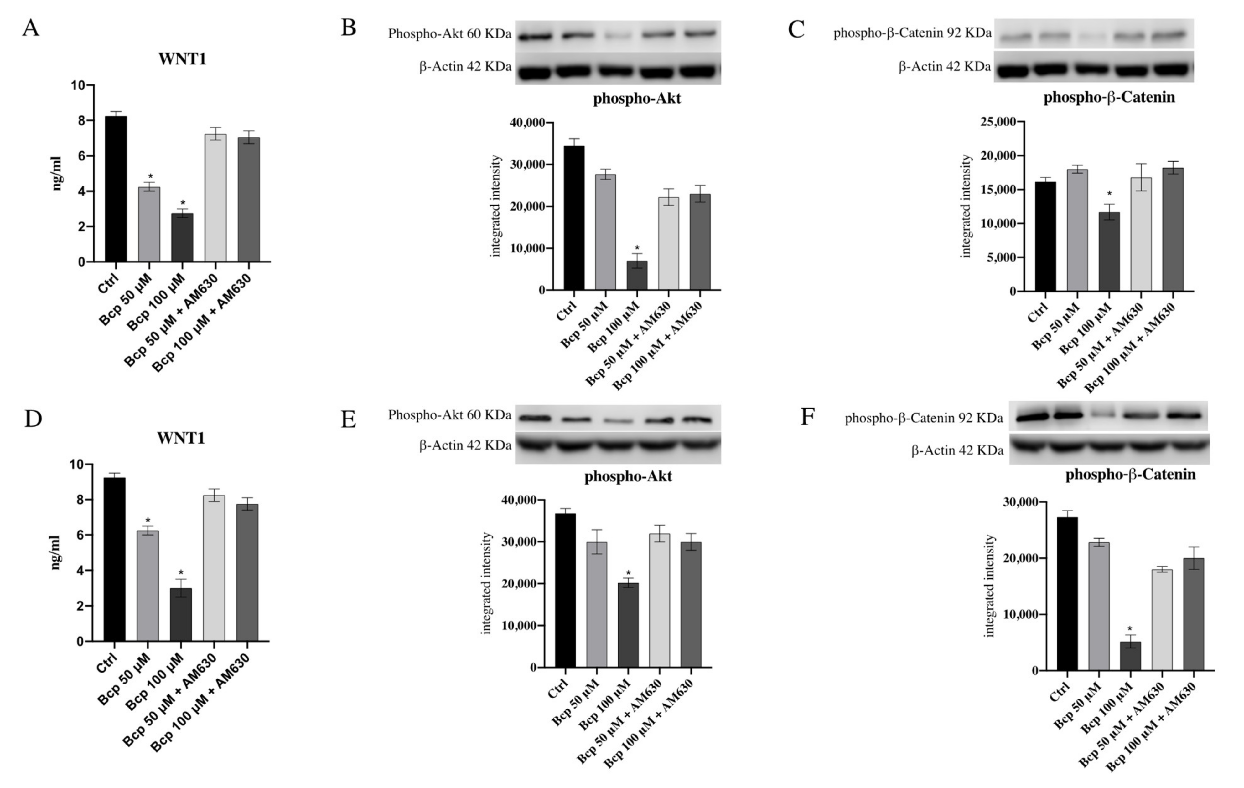 Cancers 13 05741 g005