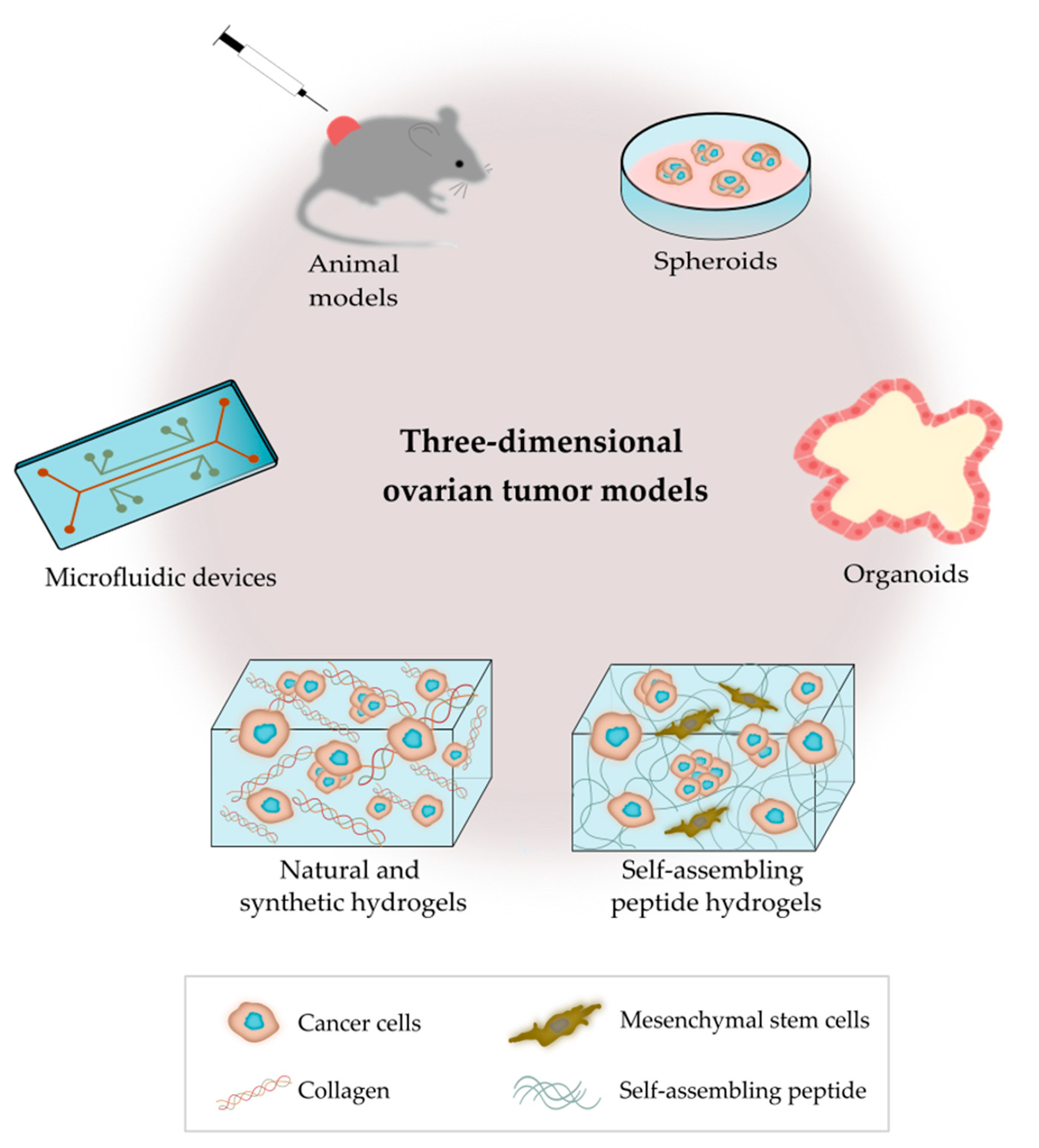 Cancers 13 05745 g002