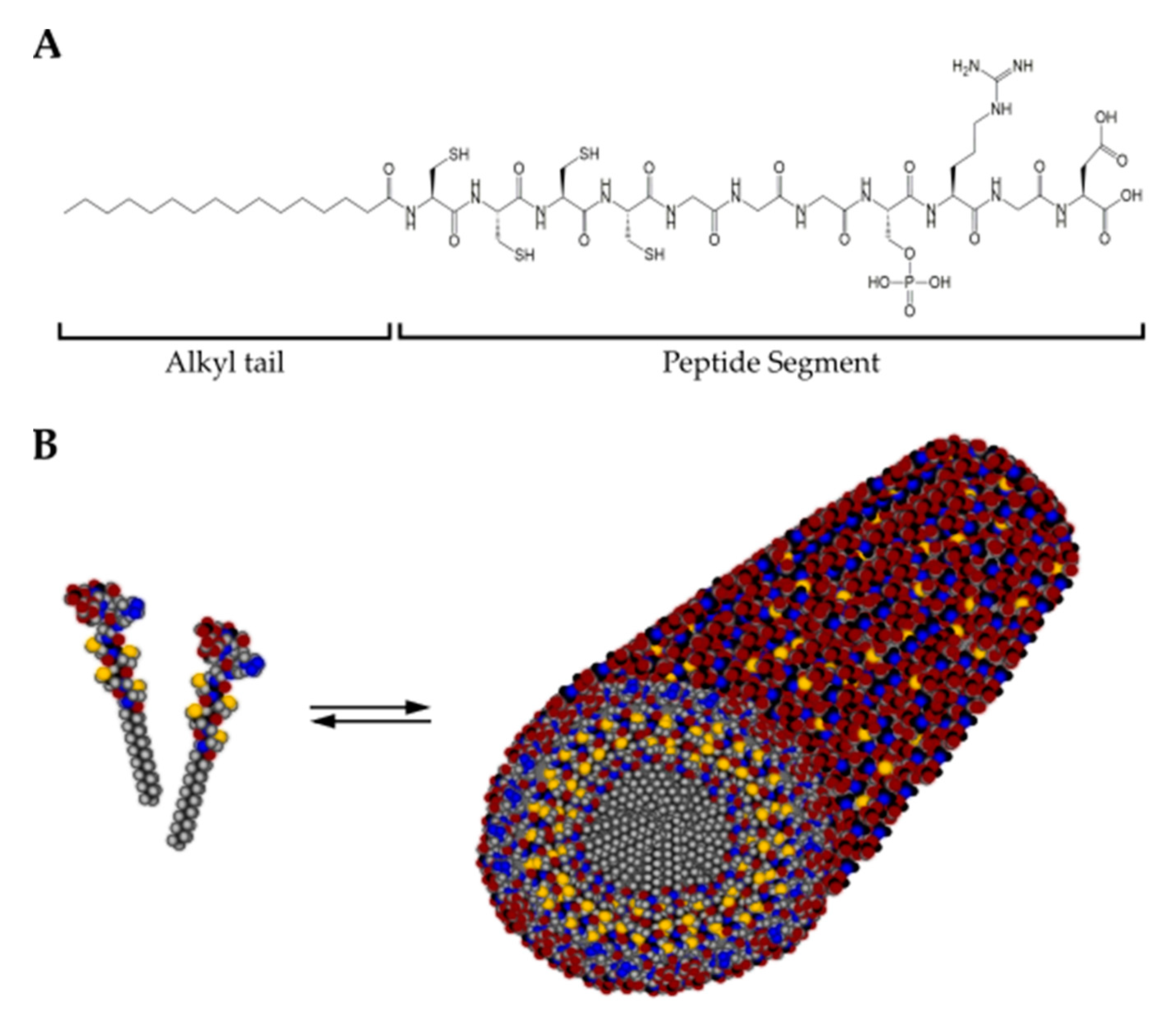 Cancers 13 05745 g007