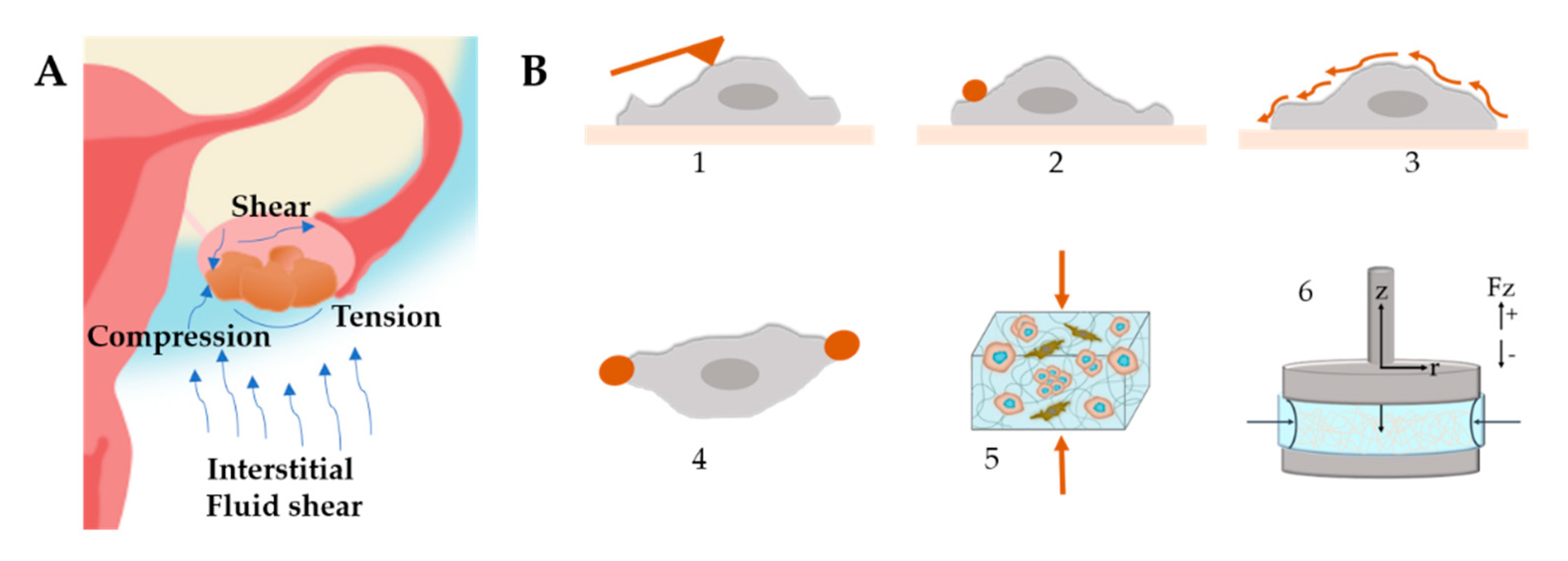 Cancers 13 05745 g008