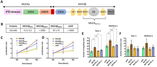 Cancers 13 05746 g001