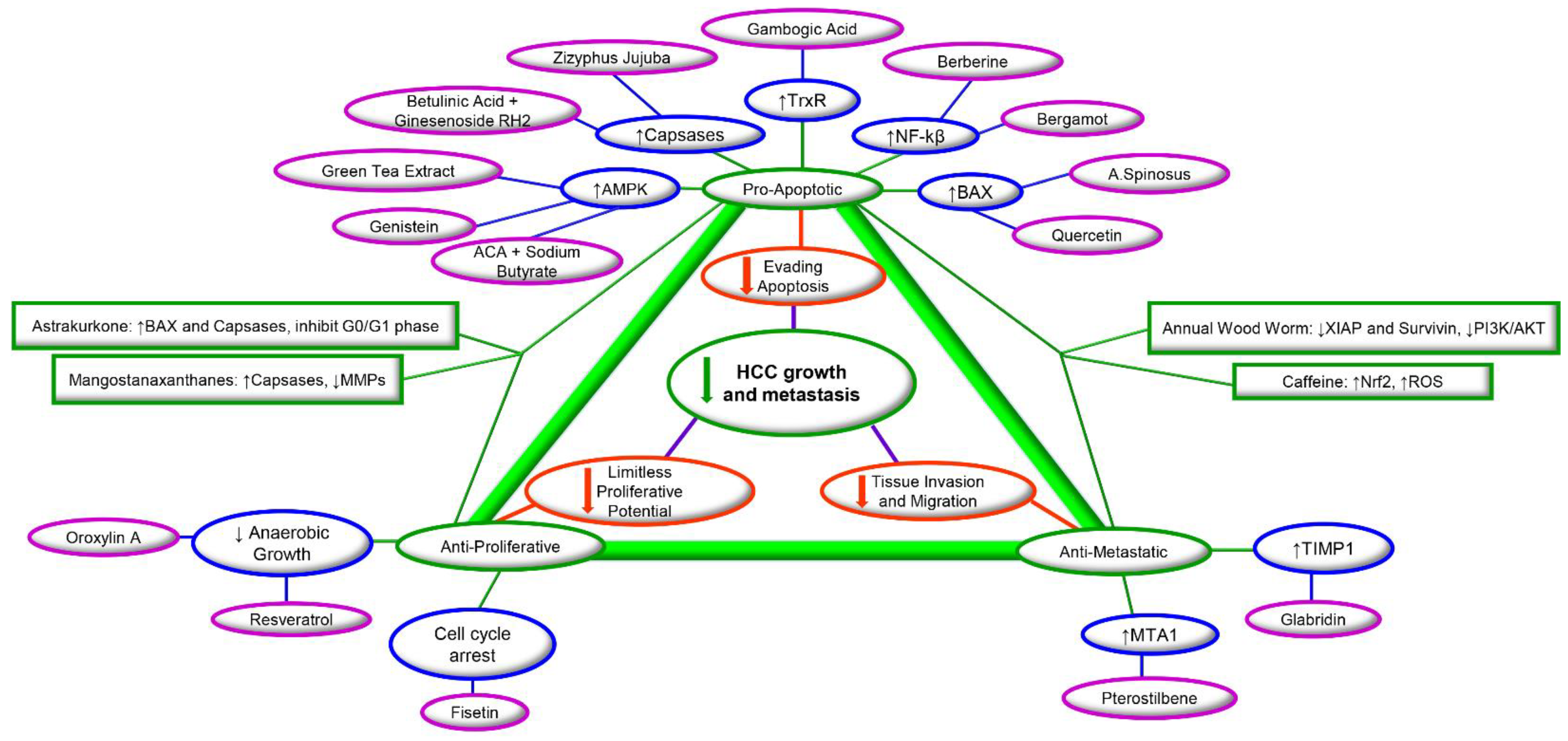 Cancers 13 05753 g001