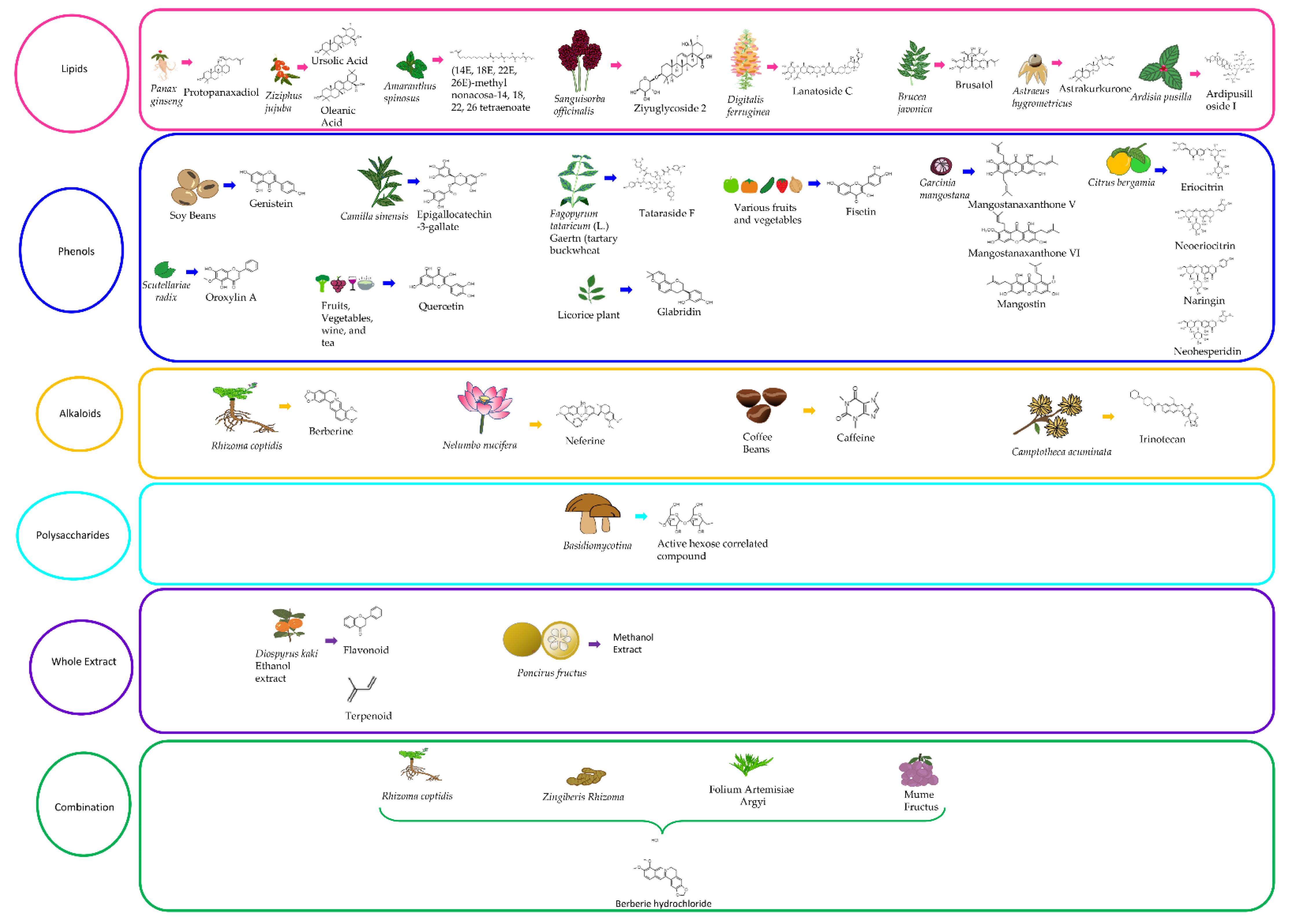 Cancers 13 05753 g003