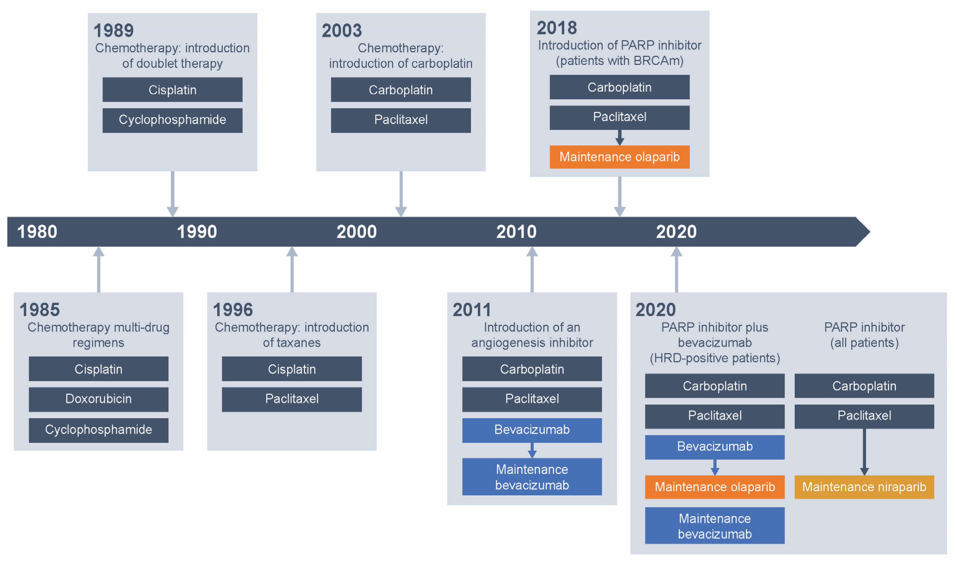 Cancers 13 05756 g001