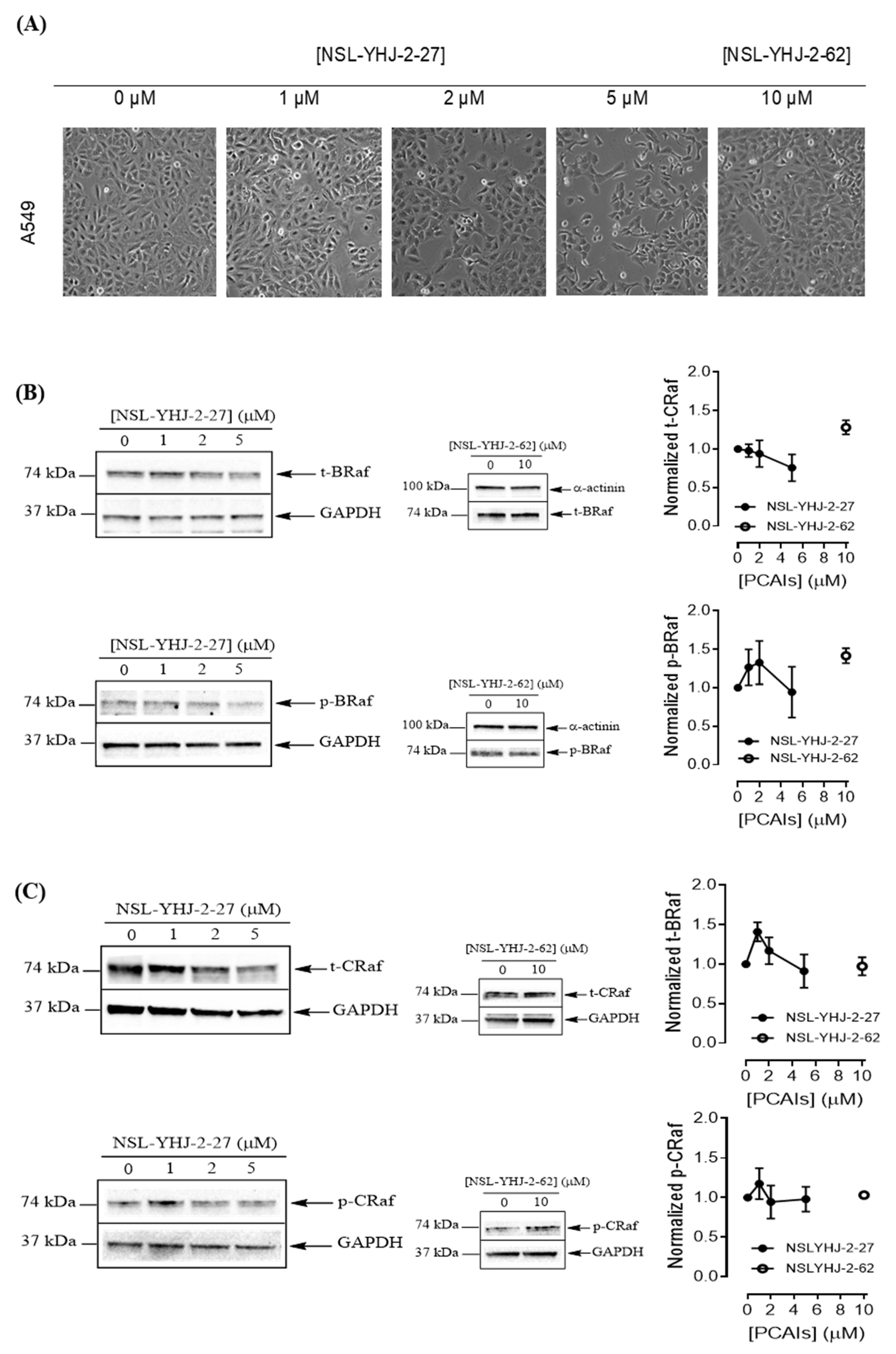 Cancers 13 05757 g006a