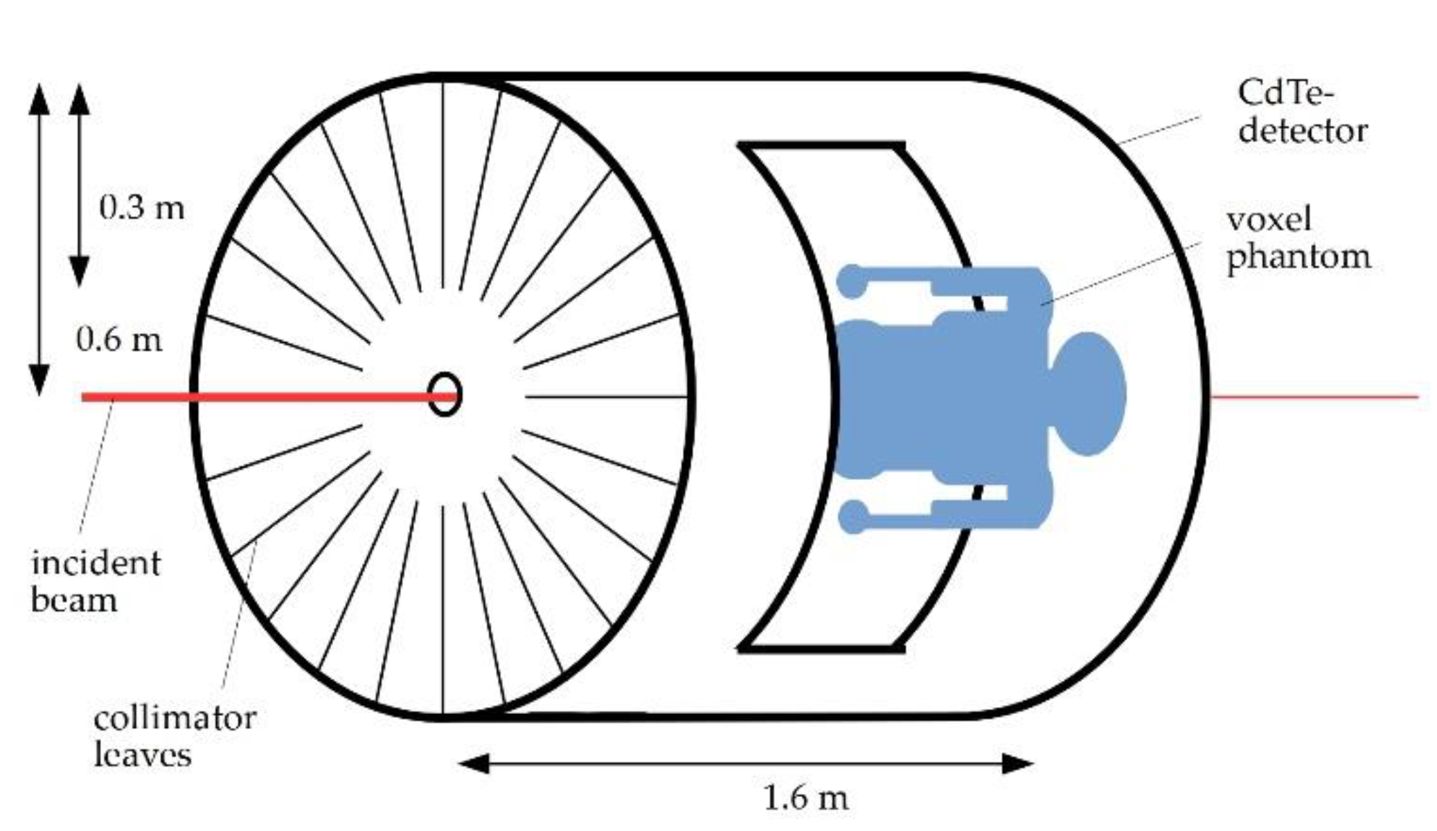 Cancers 13 05759 g001