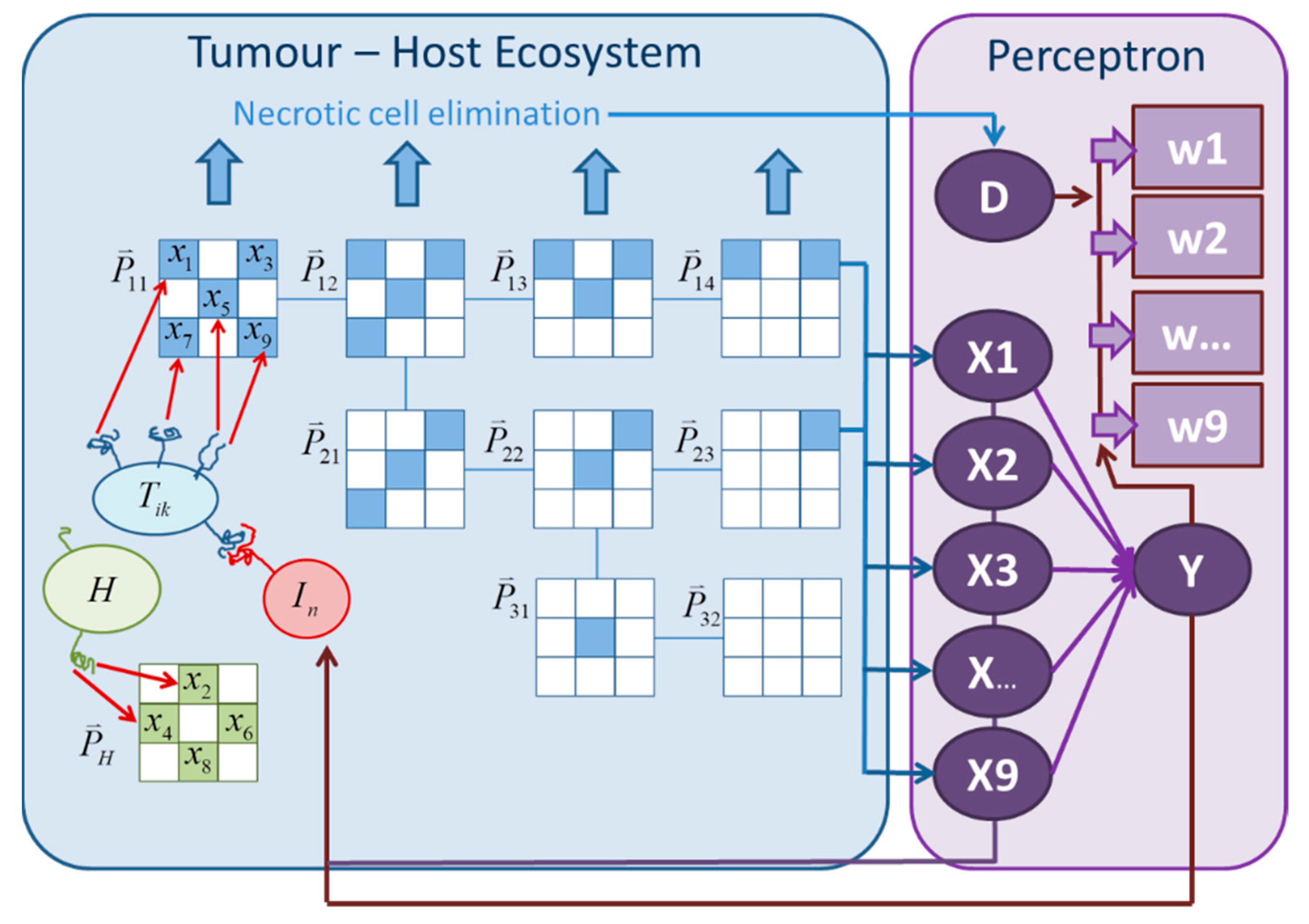 Cancers 13 05764 g001