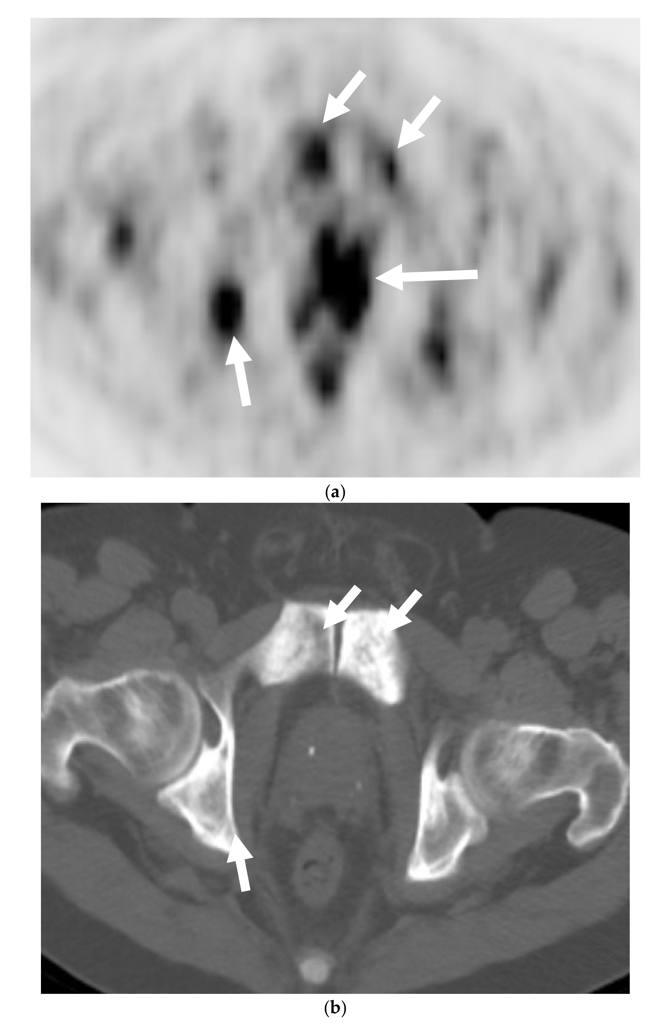 Cancers 13 05765 g002a