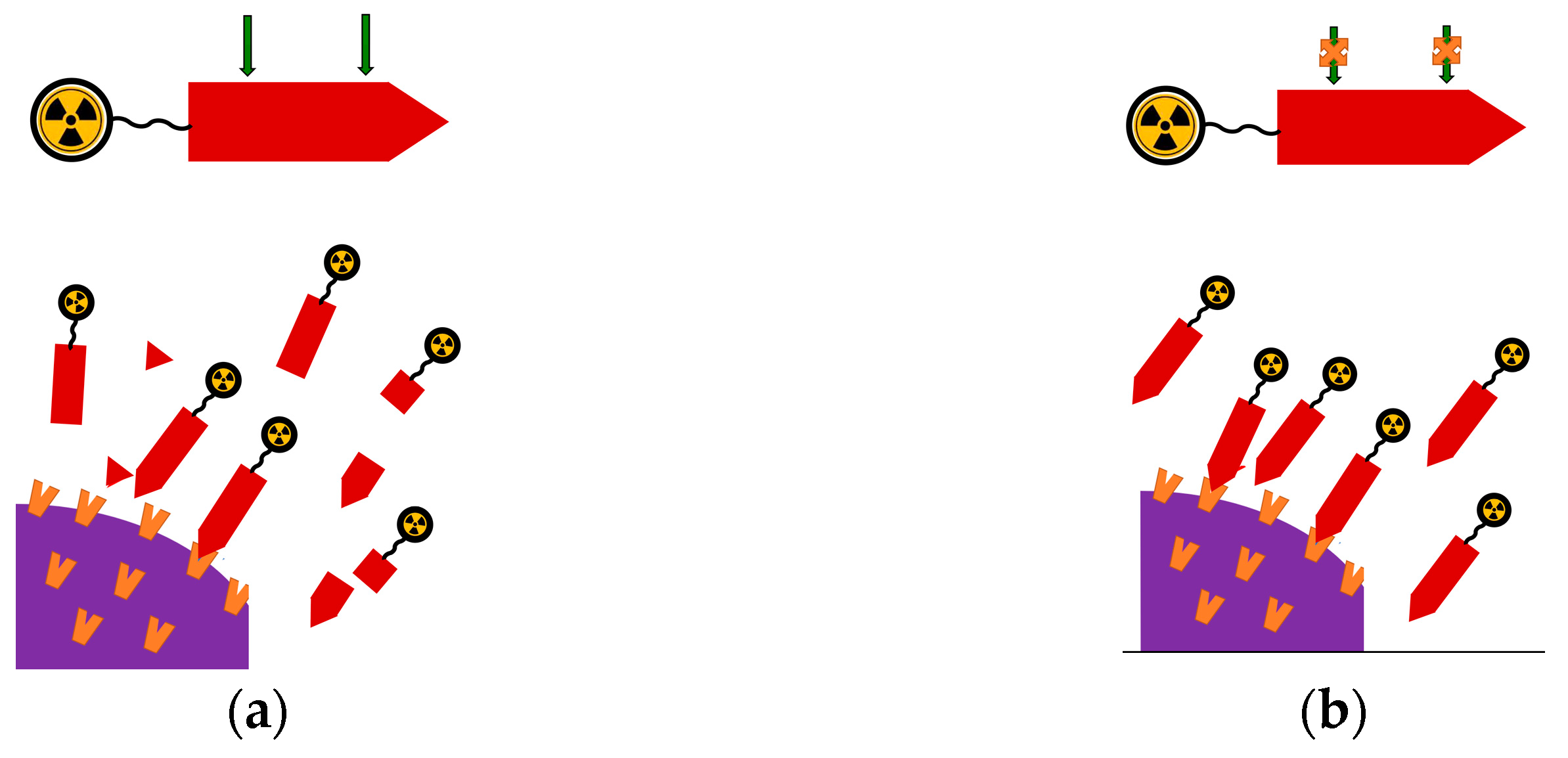 Cancers 13 05766 g005