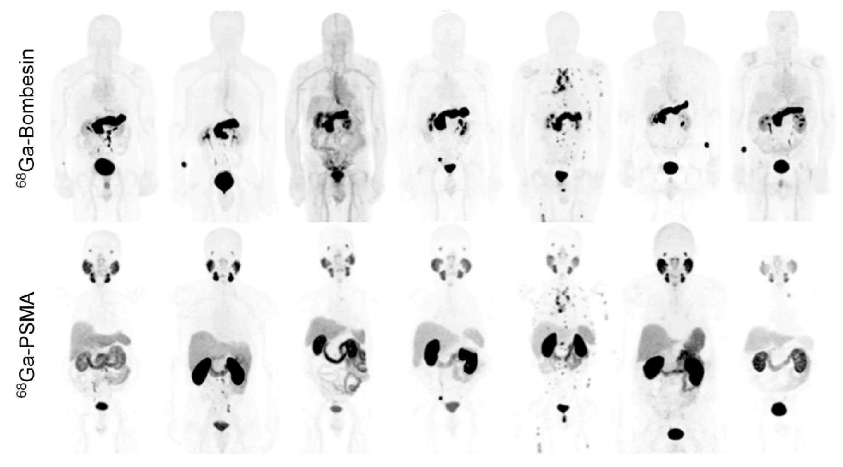 Cancers 13 05766 g007