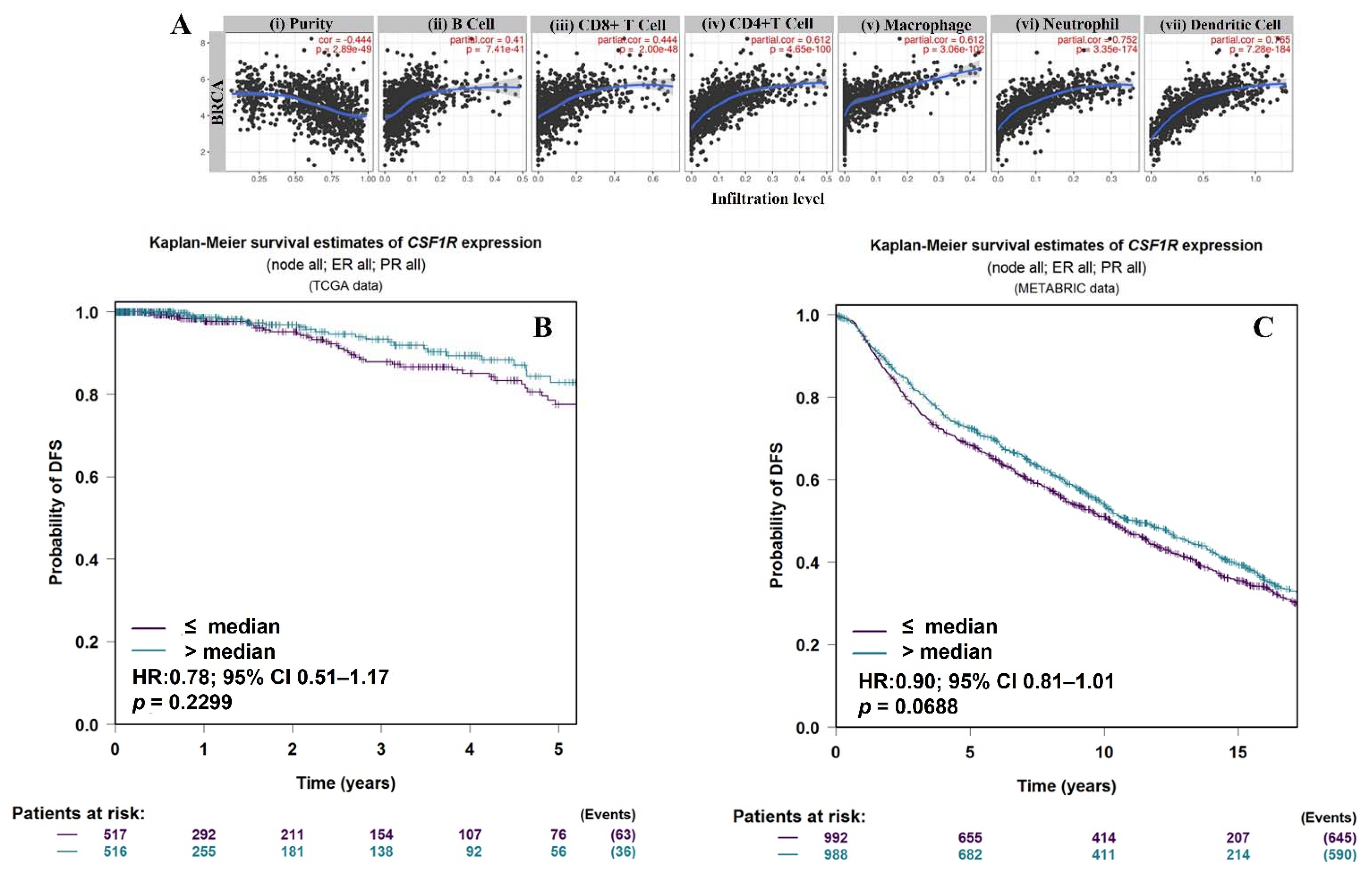 Cancers 13 05769 g002