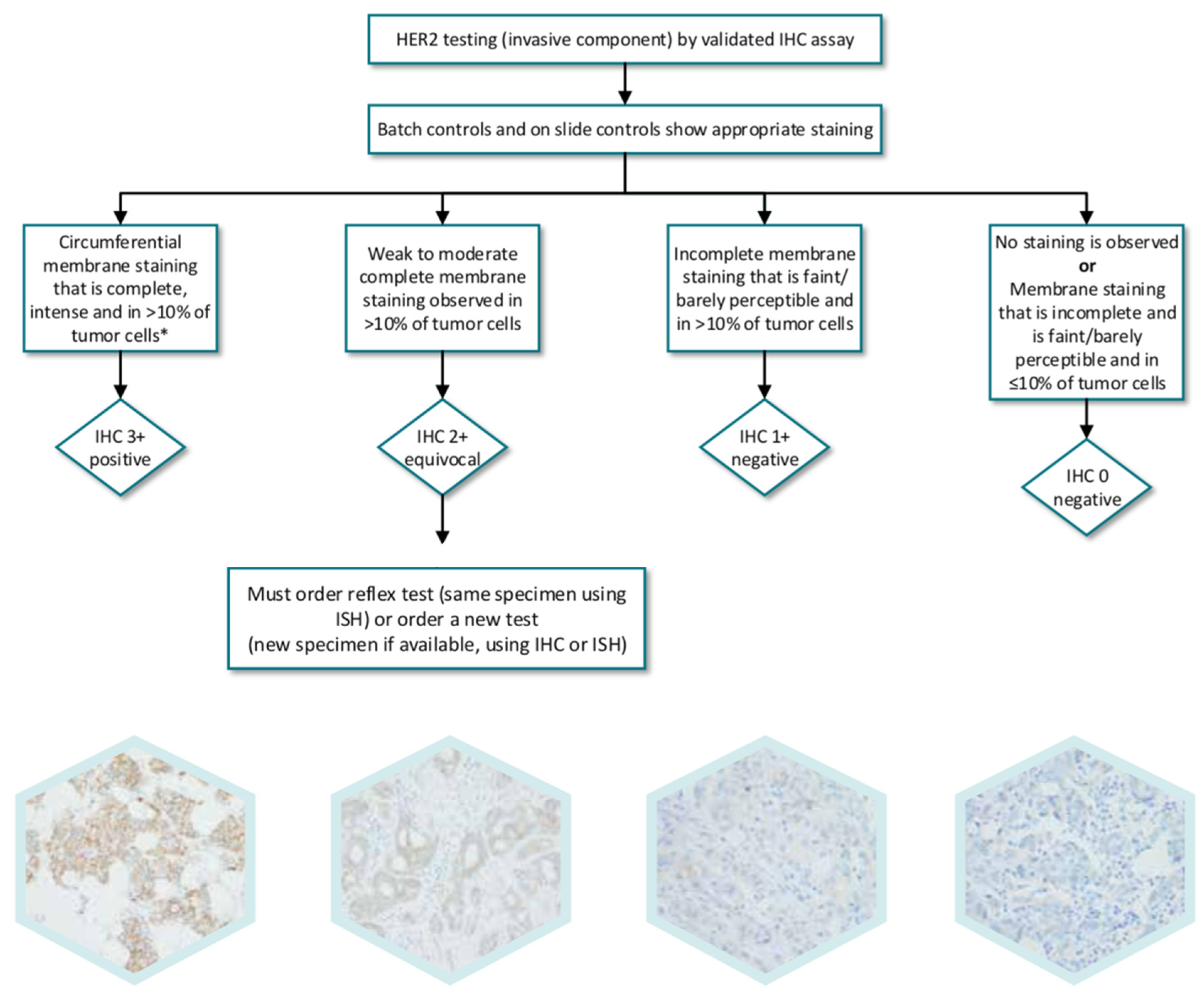 Cancers 13 05771 g001