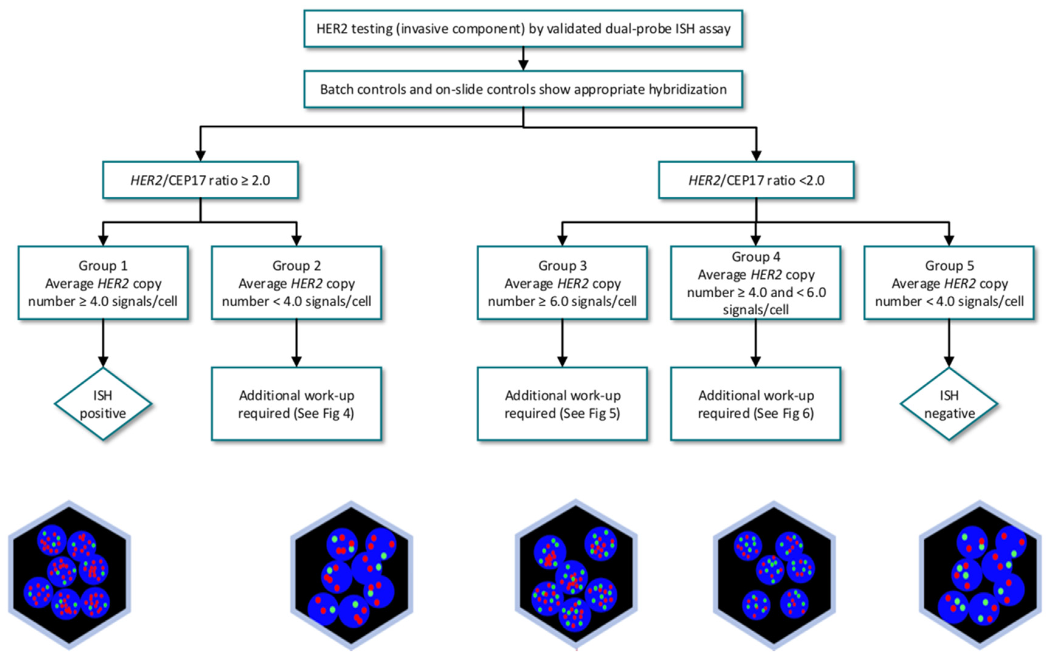 Cancers 13 05771 g003