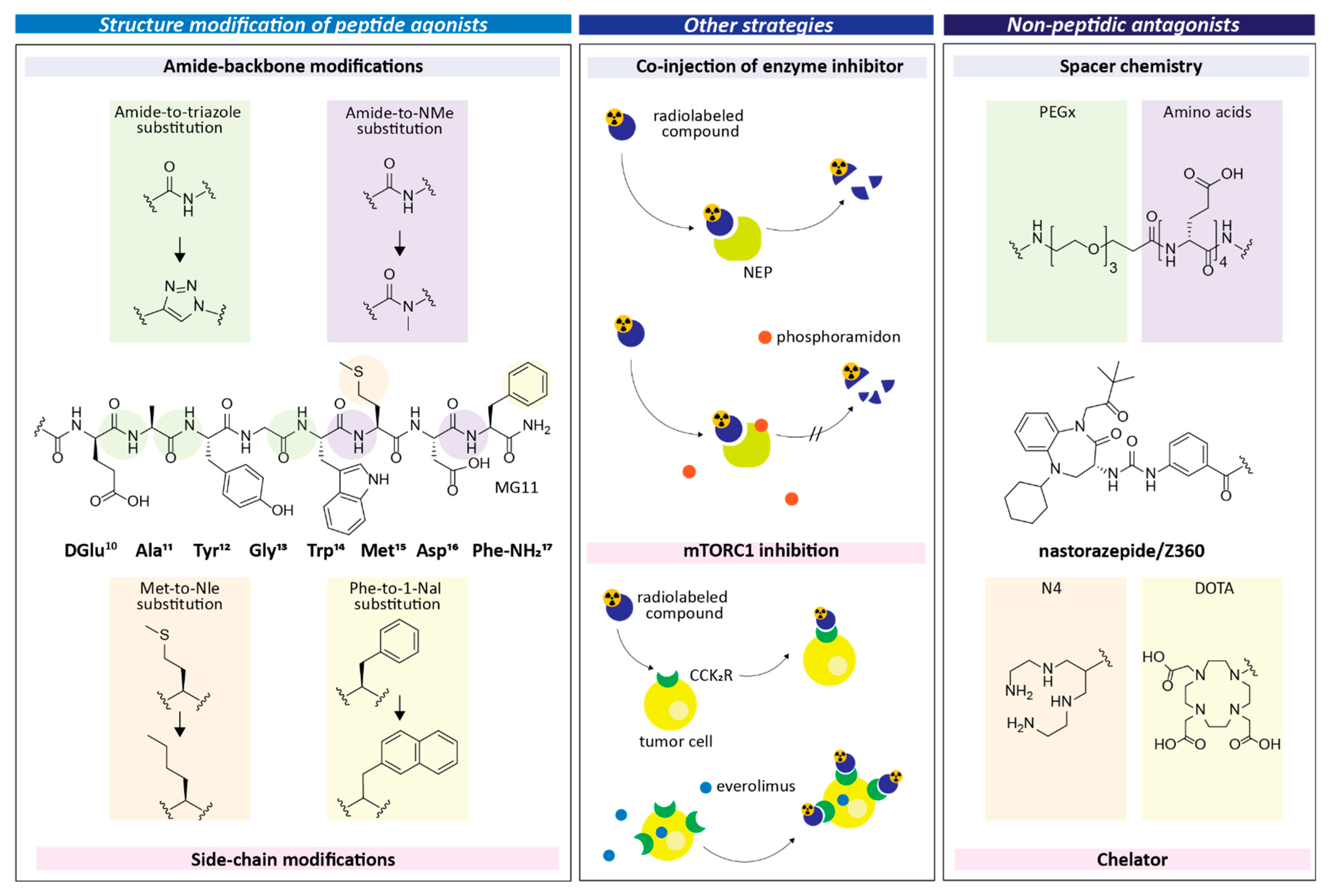 Cancers 13 05776 g001