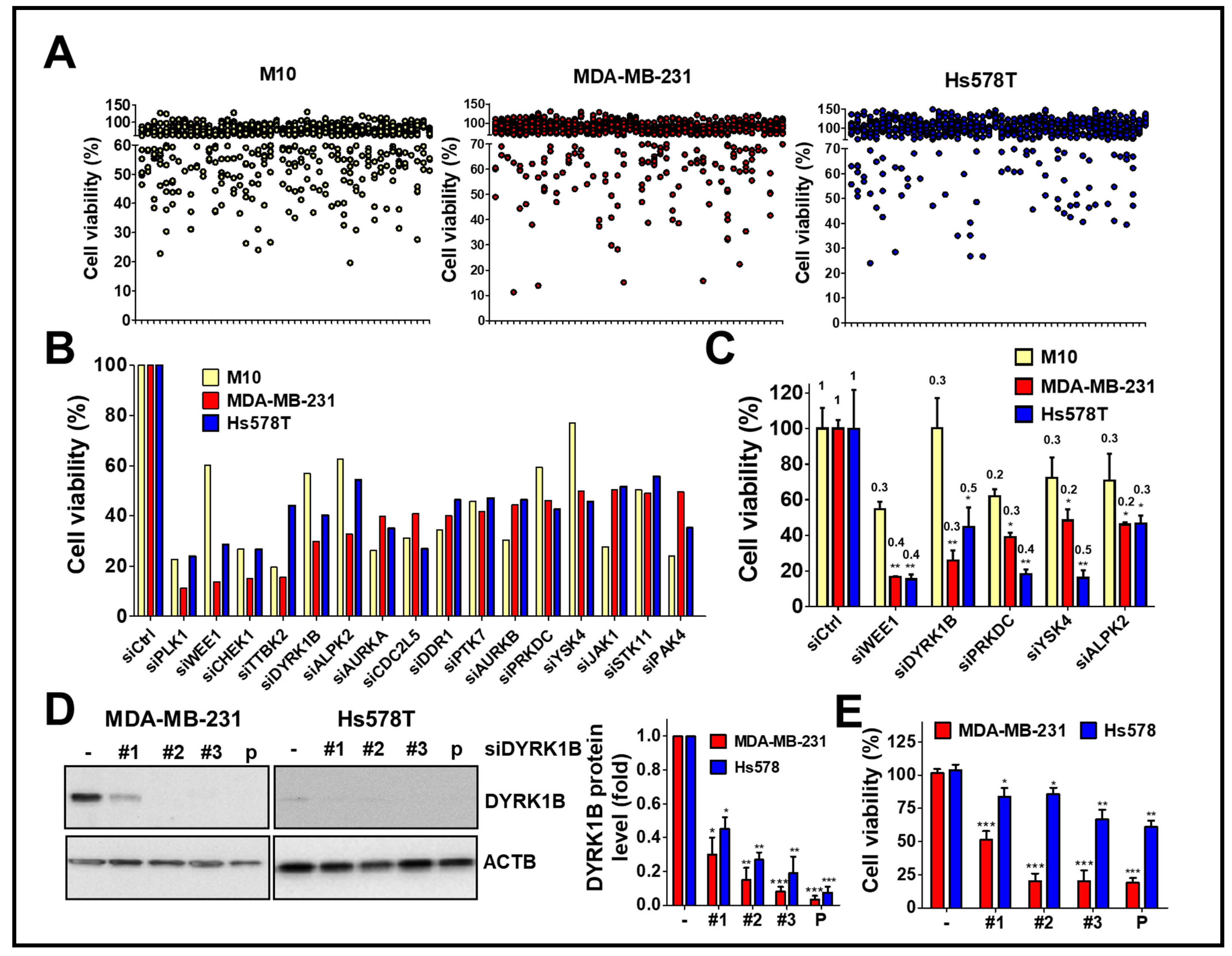 Cancers 13 05779 g001