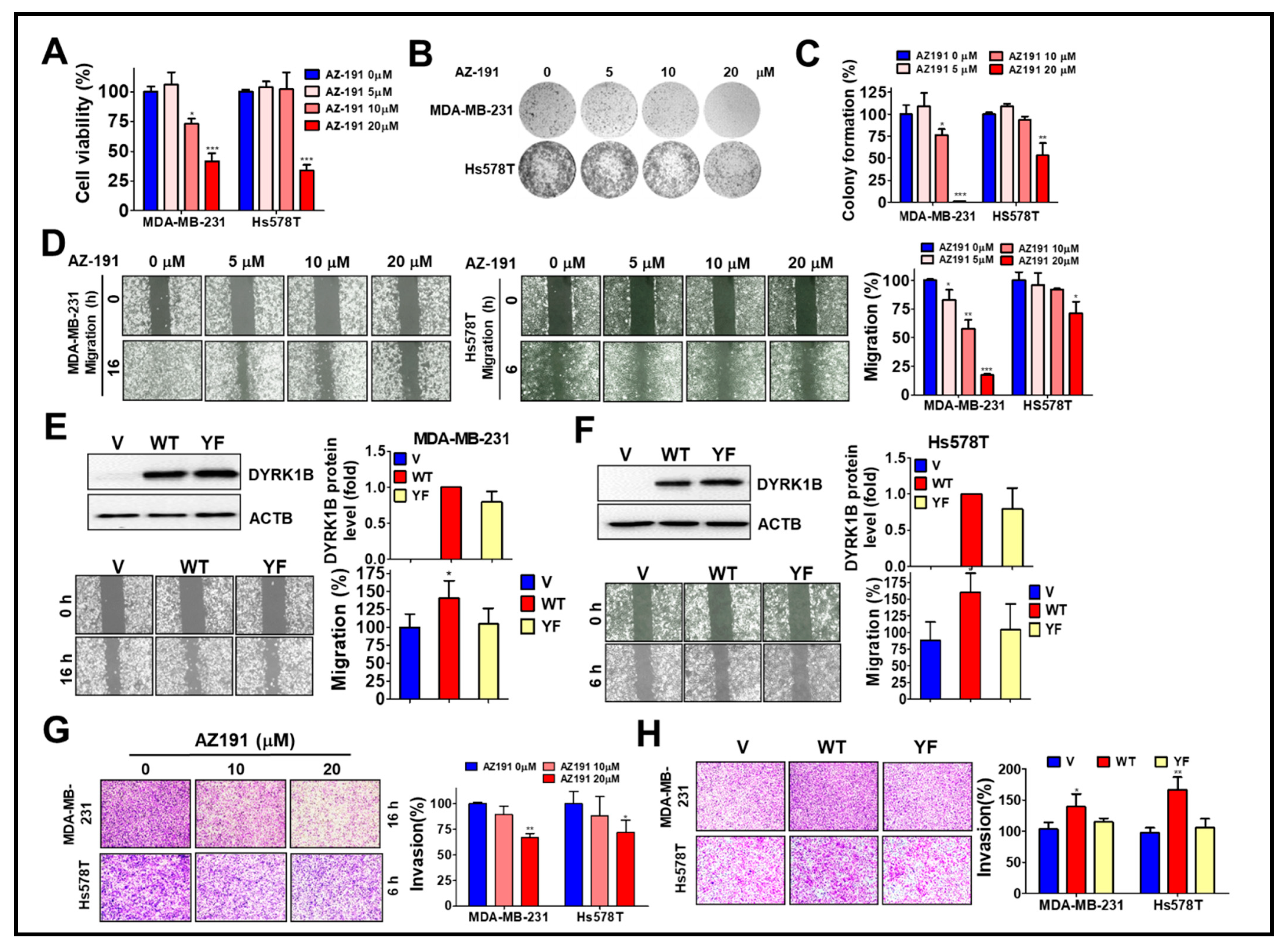 Cancers 13 05779 g004