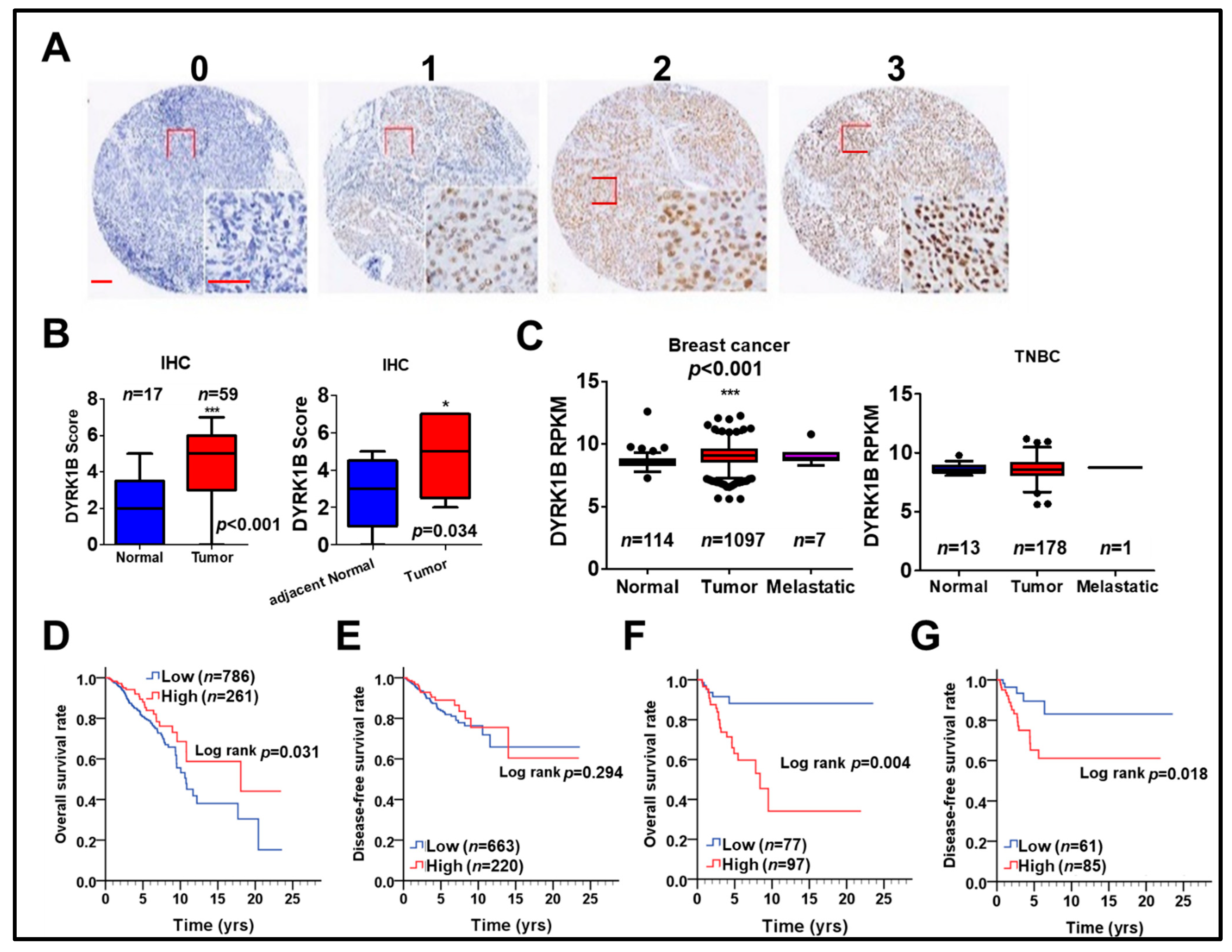 Cancers 13 05779 g005