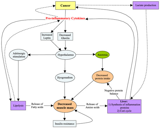 Cancers 13 05782 g0a3 550