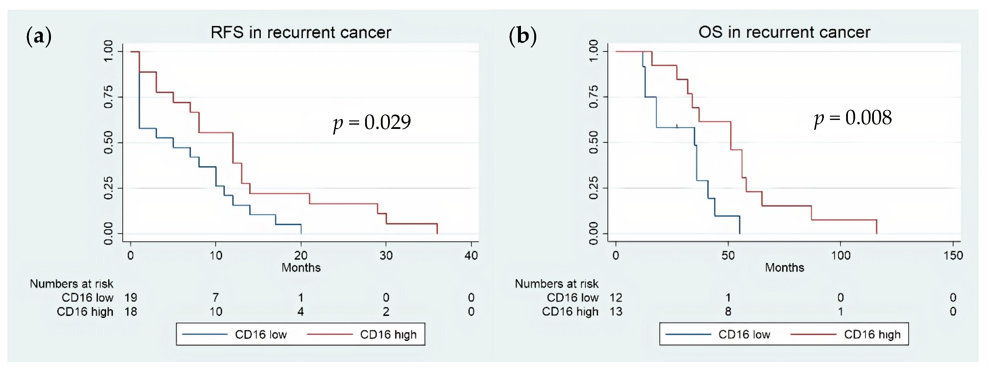 Cancers 13 05783 g002