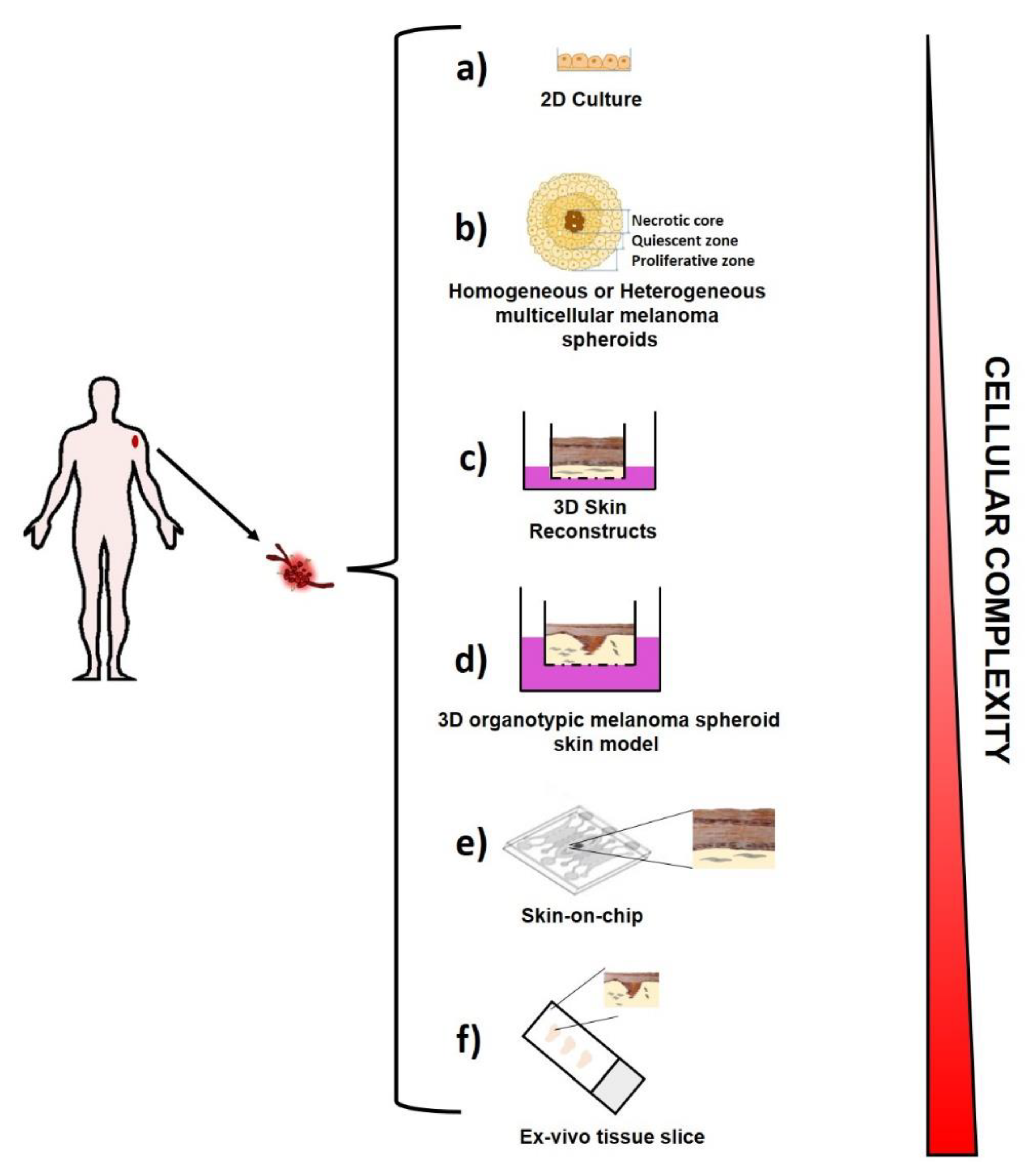 Cancers 13 05788 g004