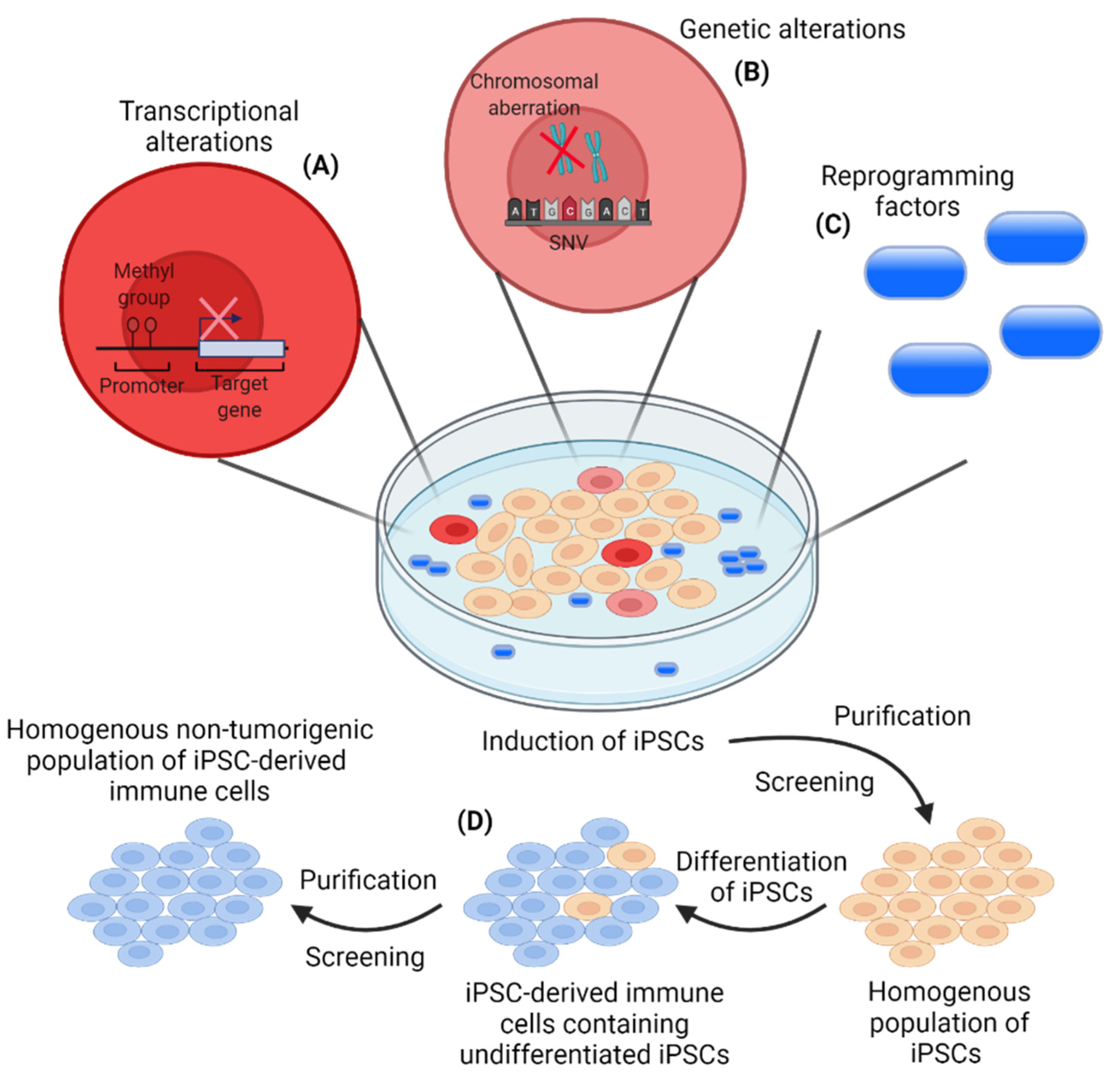 Cancers 13 05789 g001