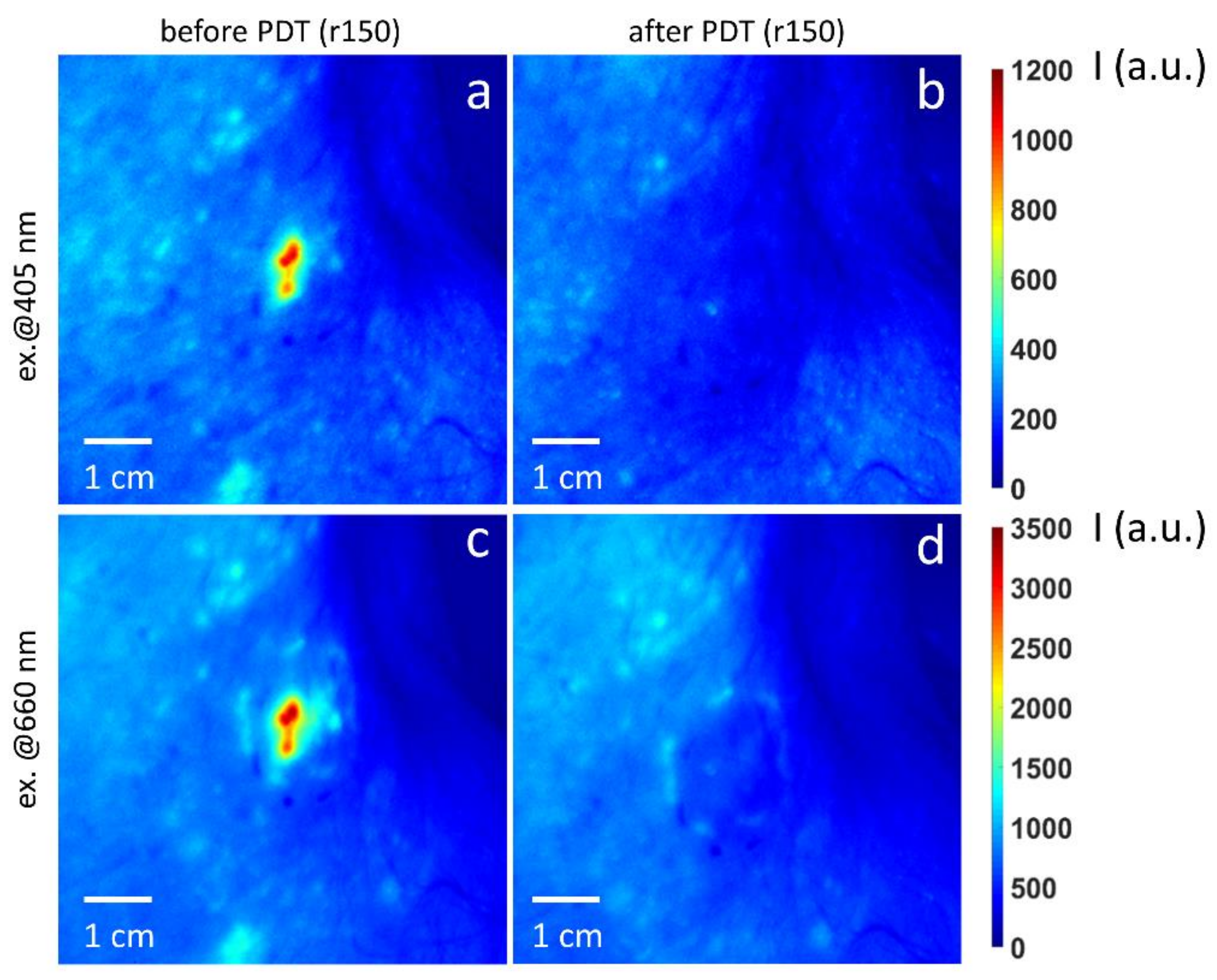 Cancers 13 05807 g009