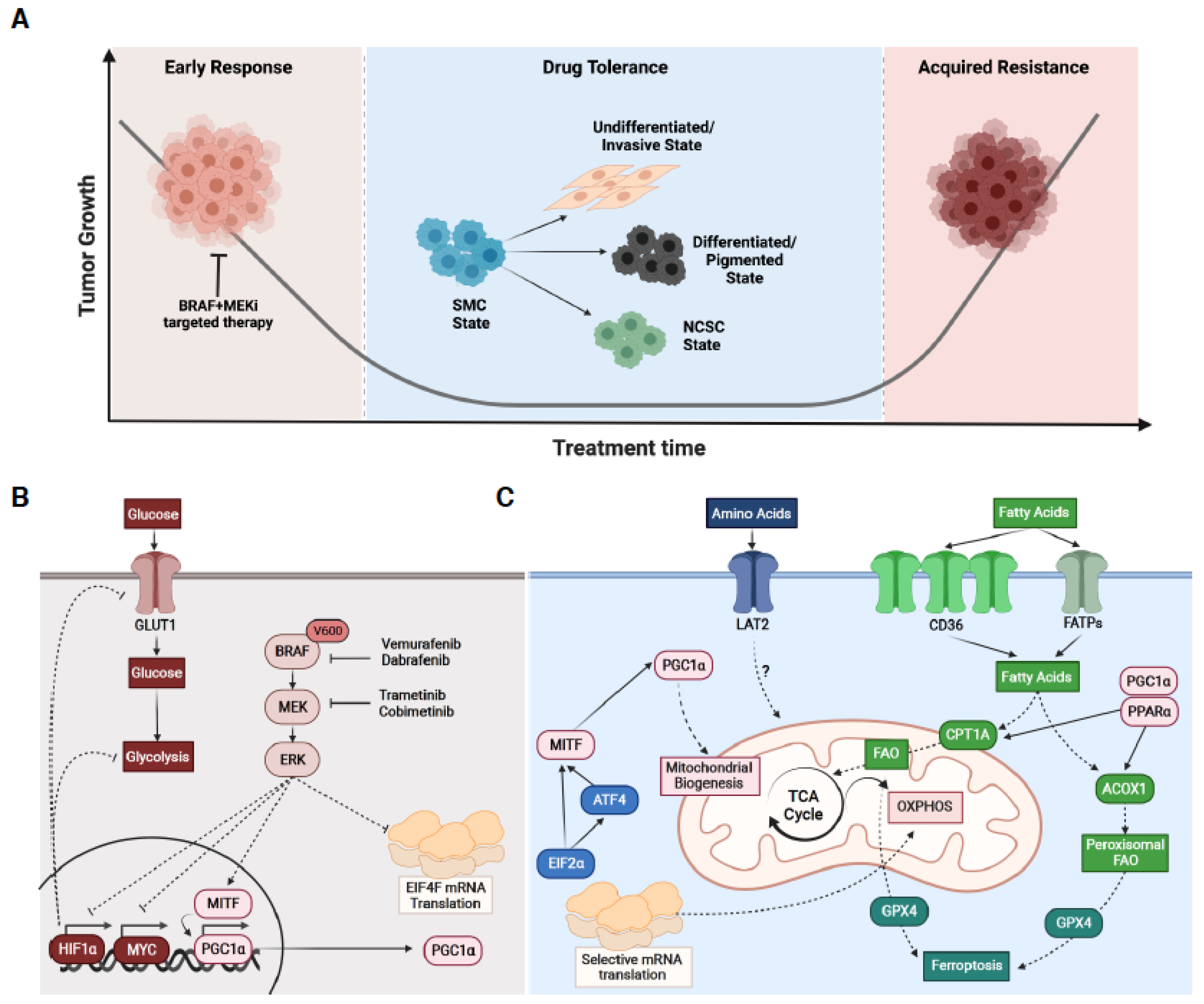 Cancers 13 05810 g002