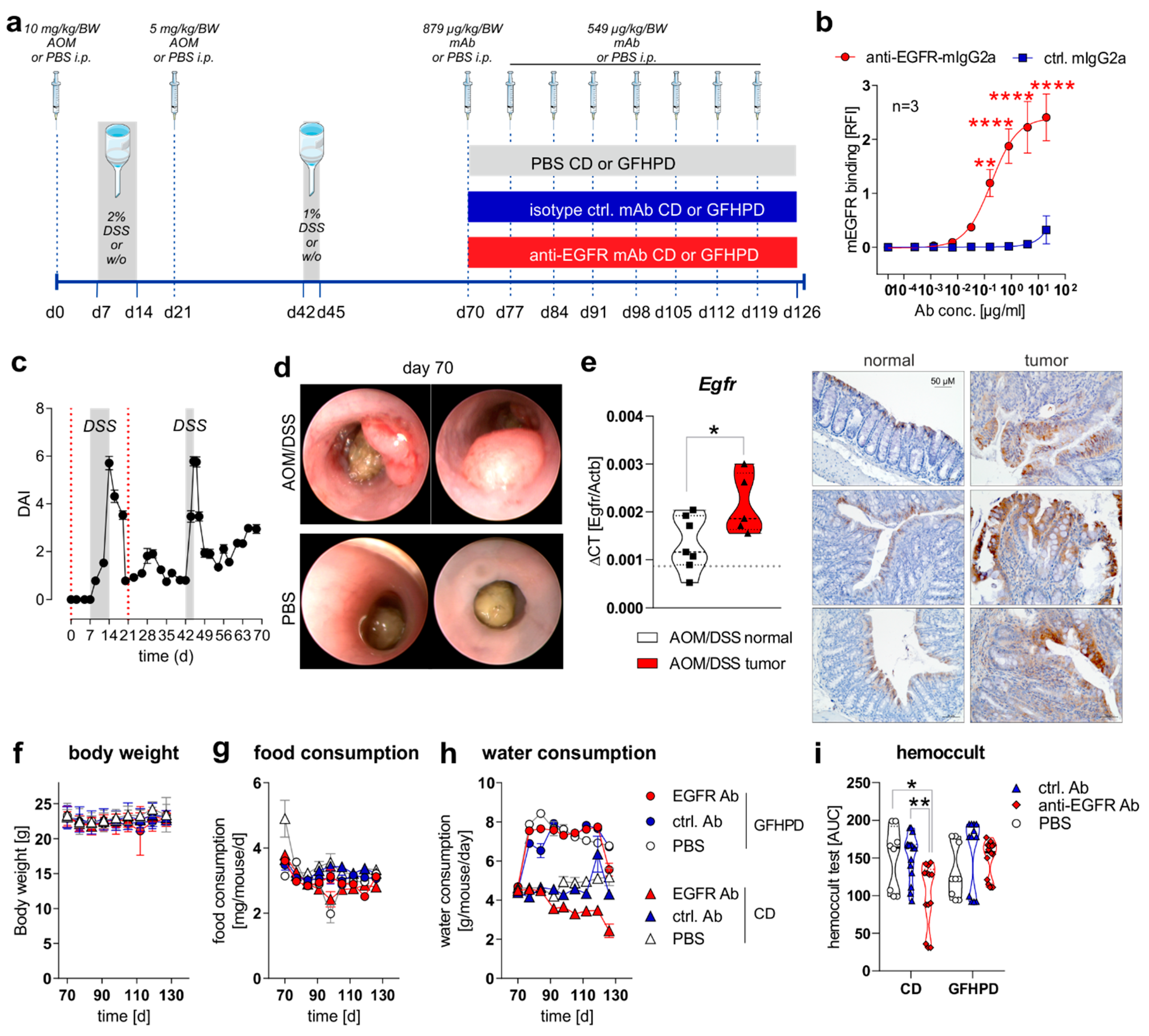 Cancers 13 05817 g001