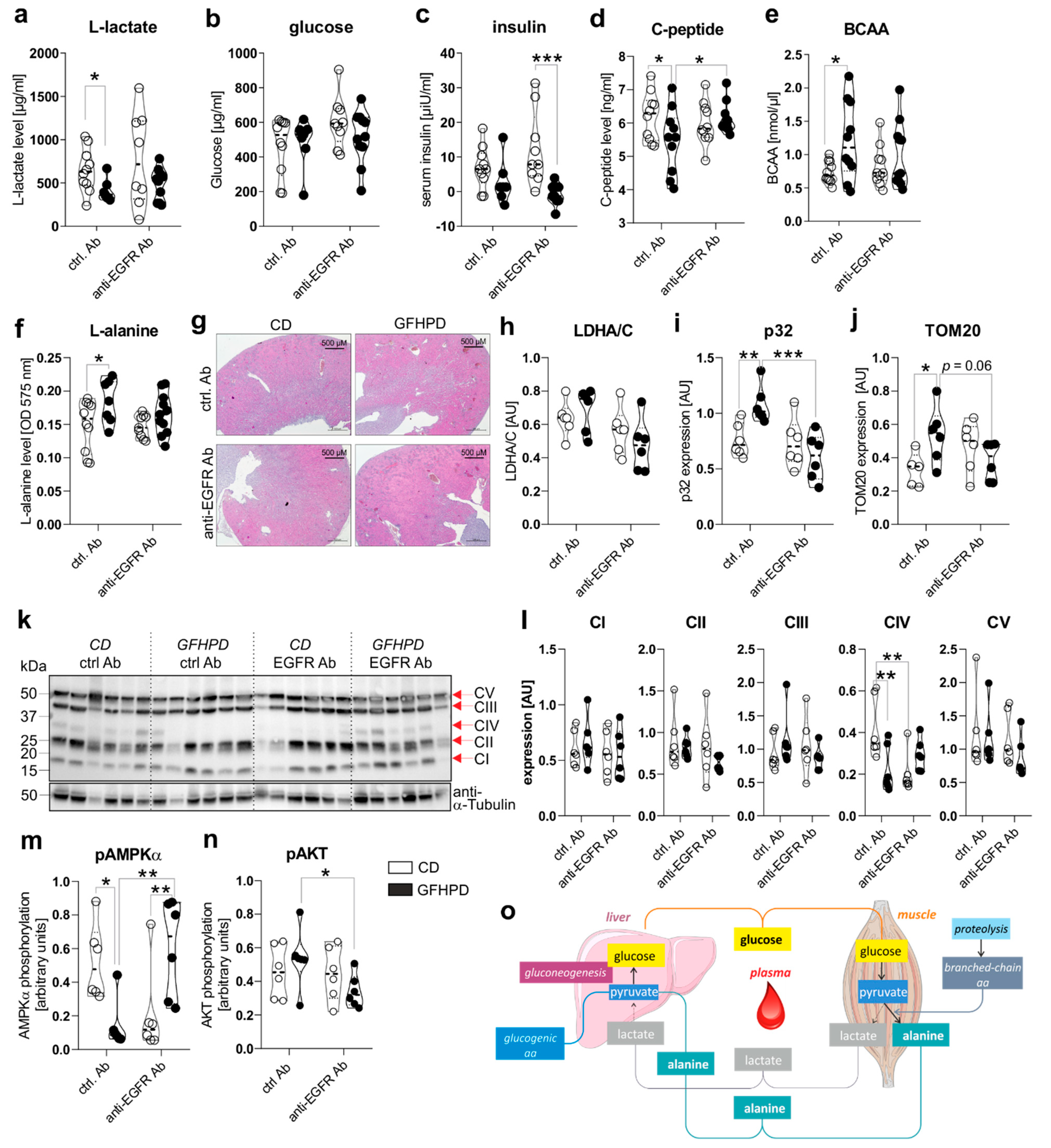 Cancers 13 05817 g003
