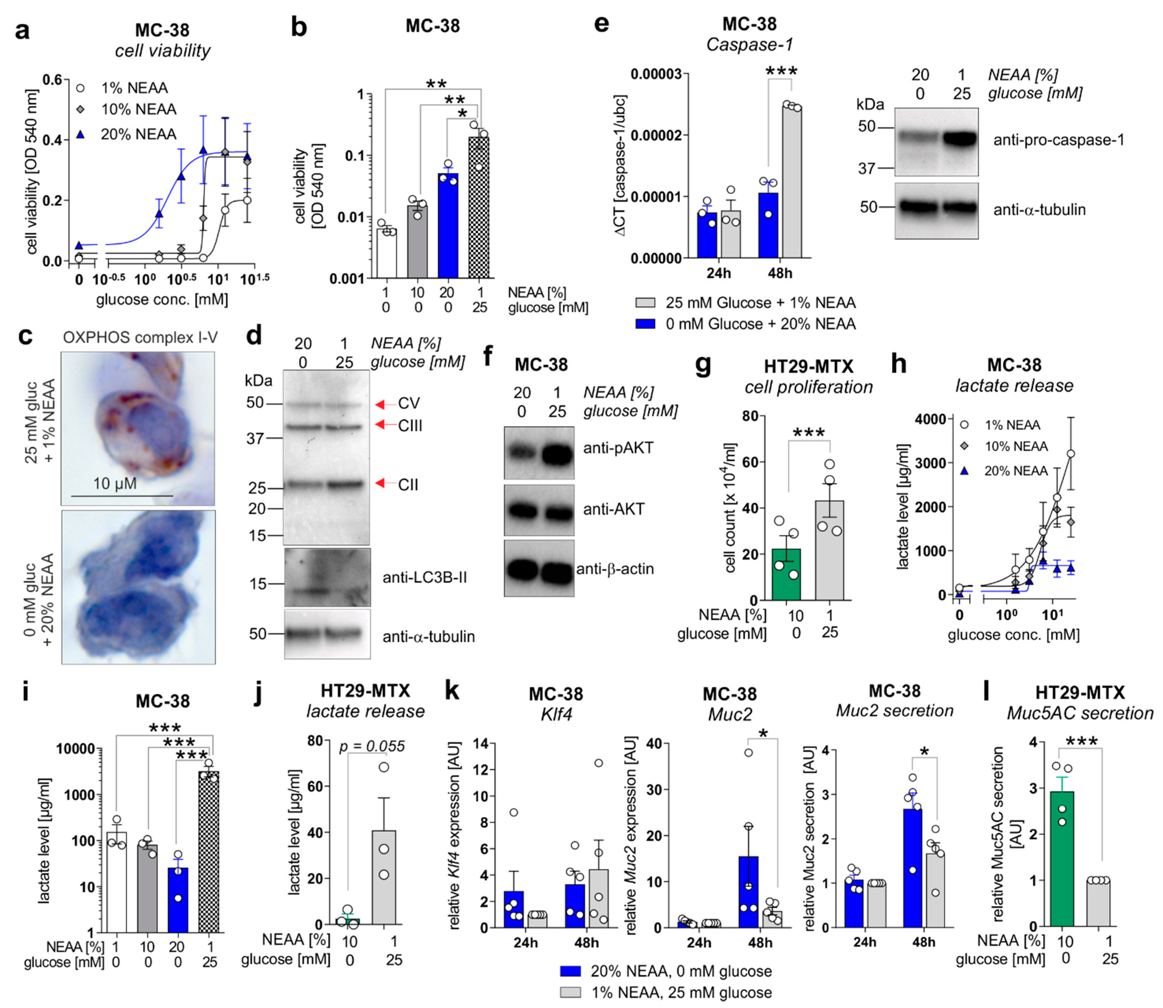 Cancers 13 05817 g005