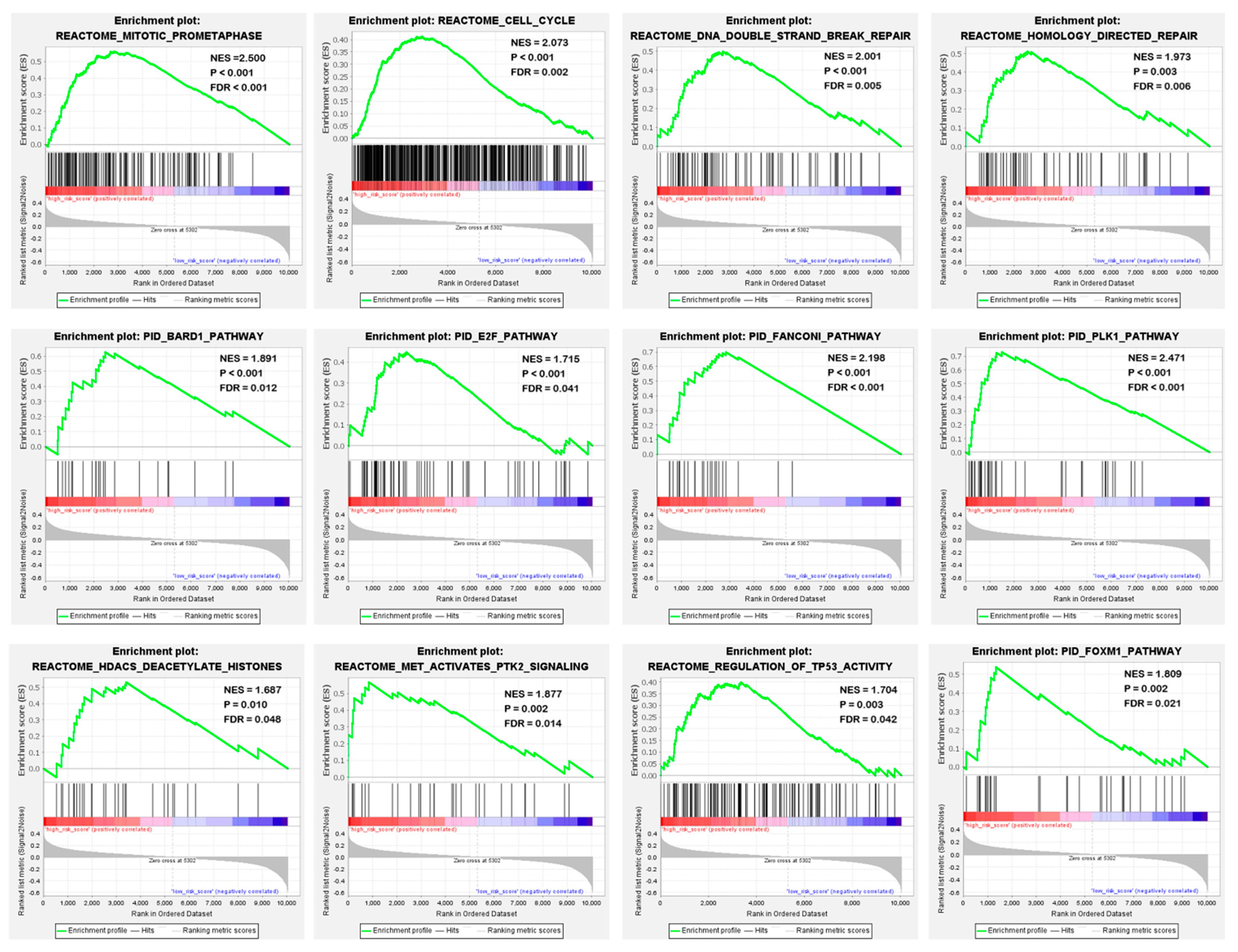 Cancers 13 05837 g008