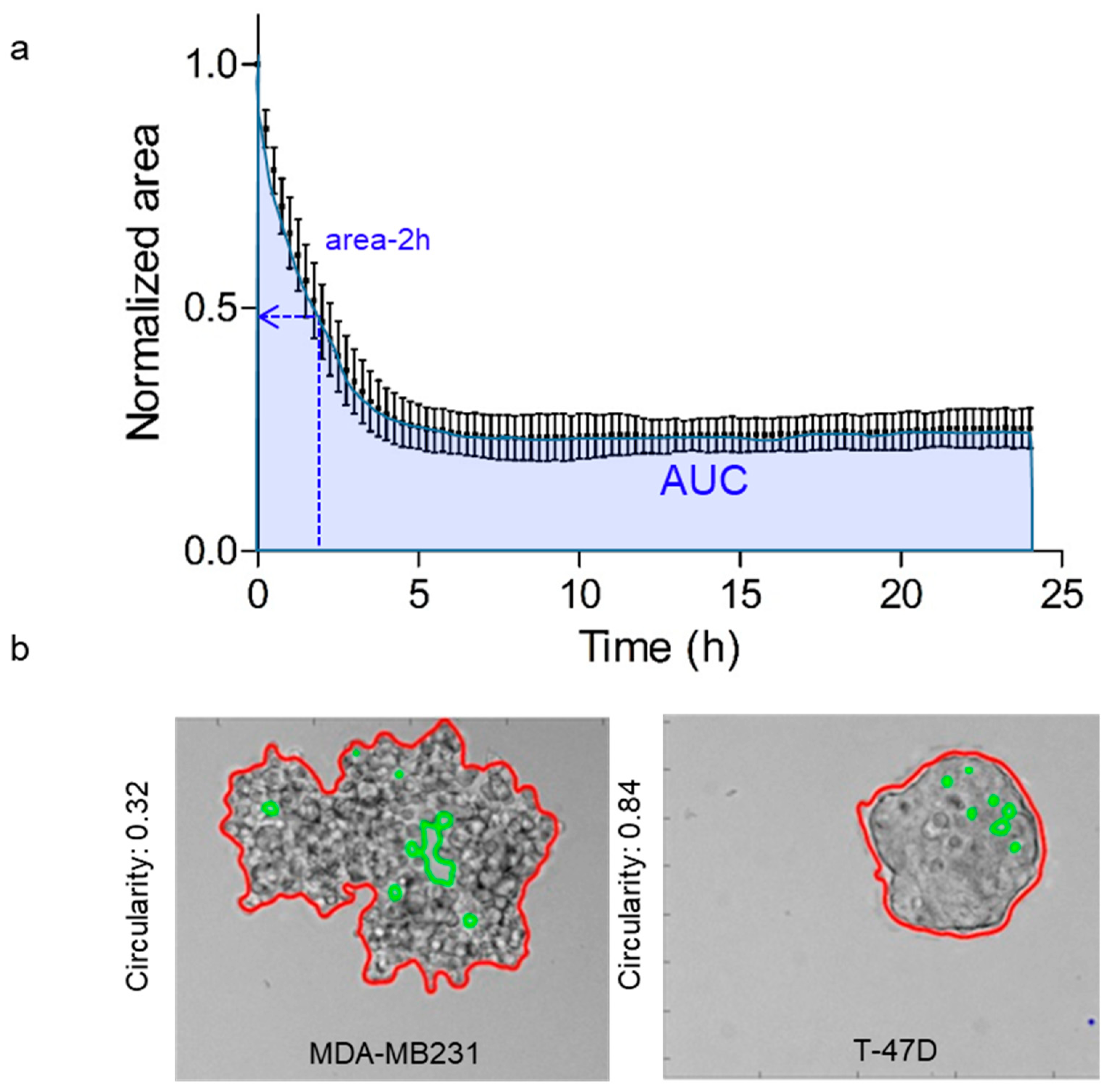 Cancers 13 05840 g001