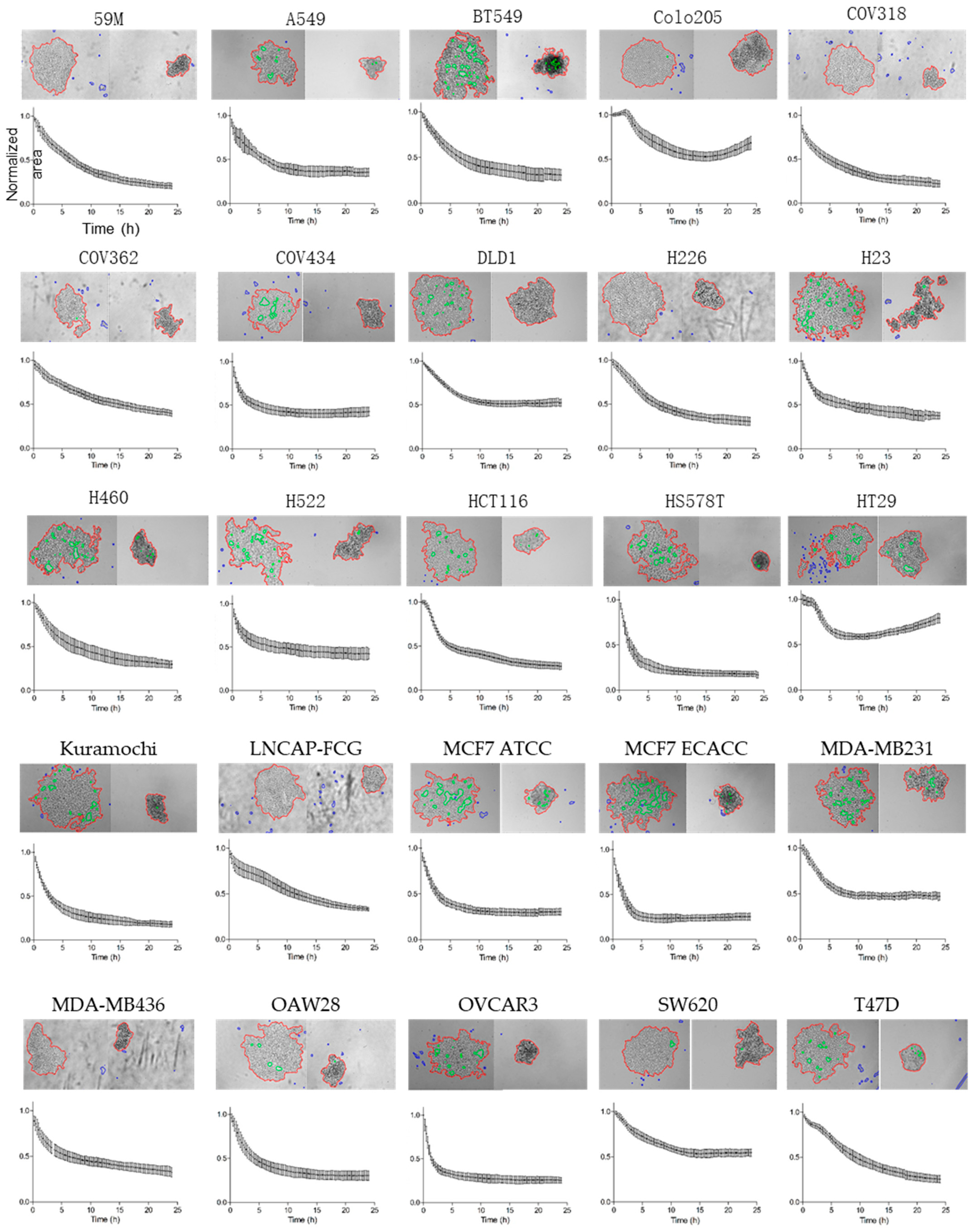 Cancers 13 05840 g002