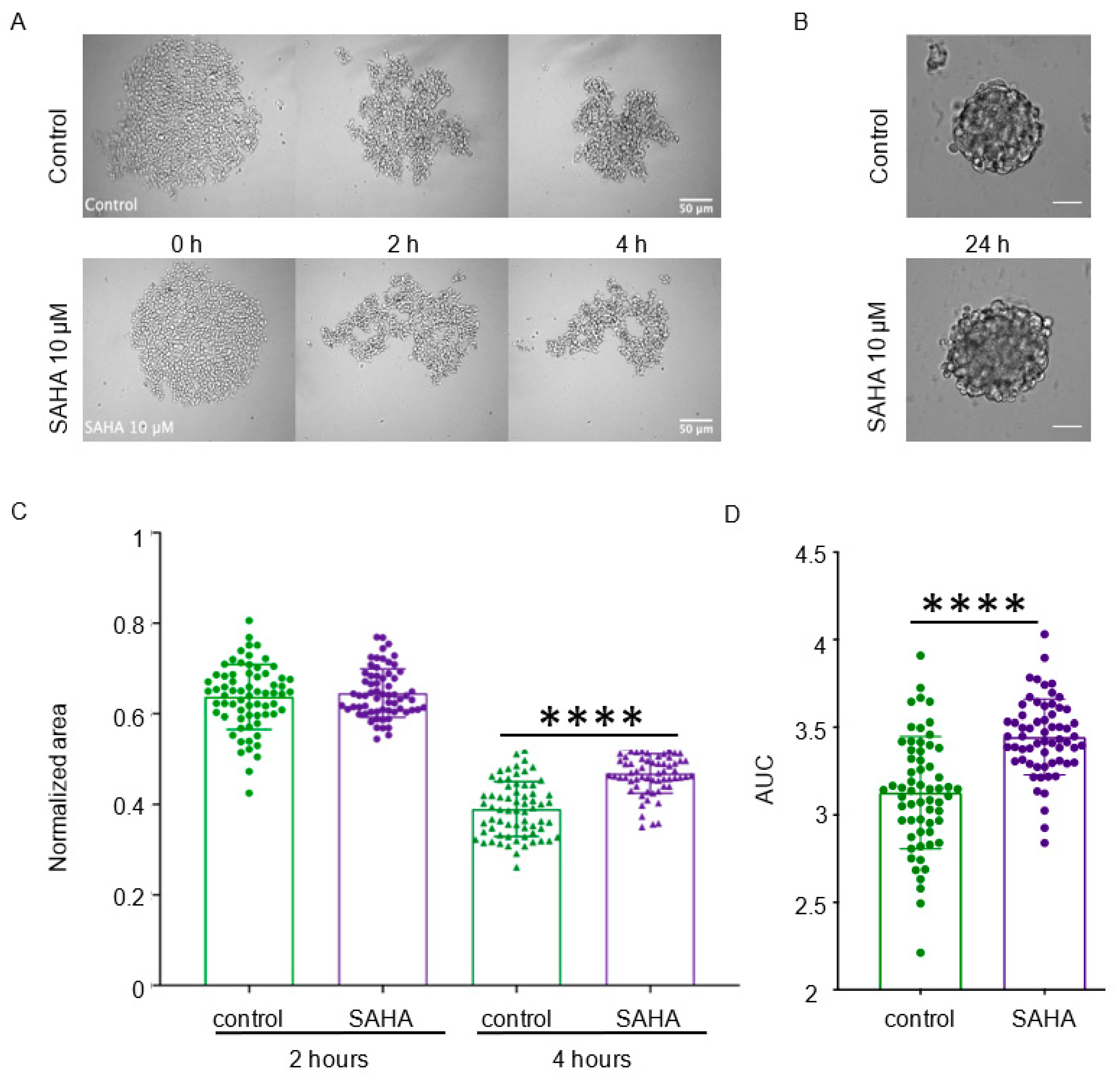 Cancers 13 05840 g004