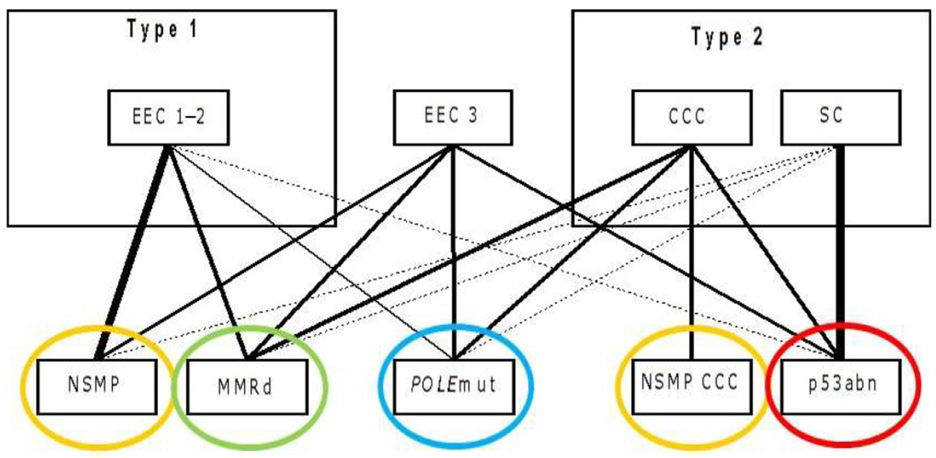 Cancers 13 05848 g002