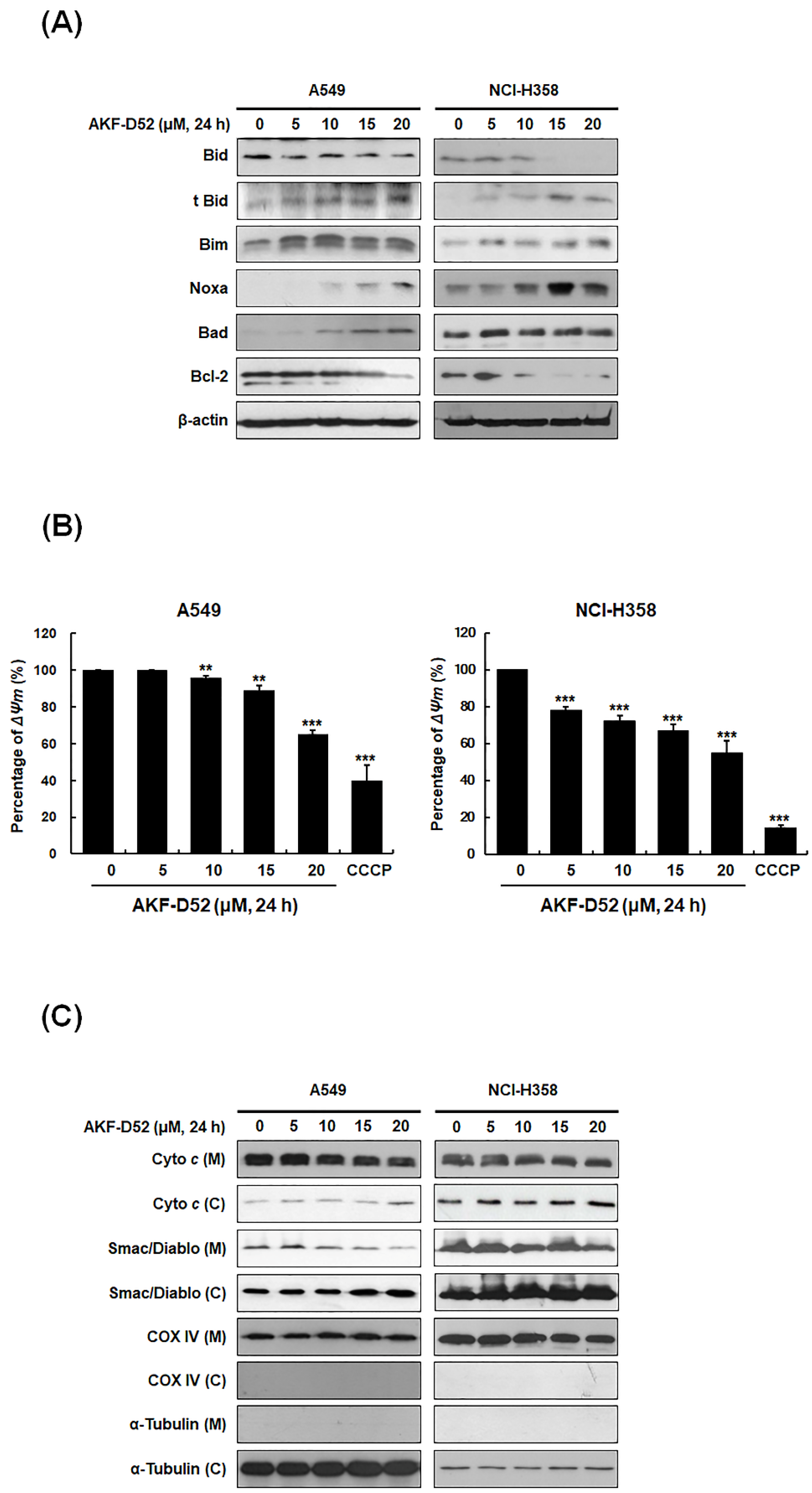 Cancers 13 05849 g003