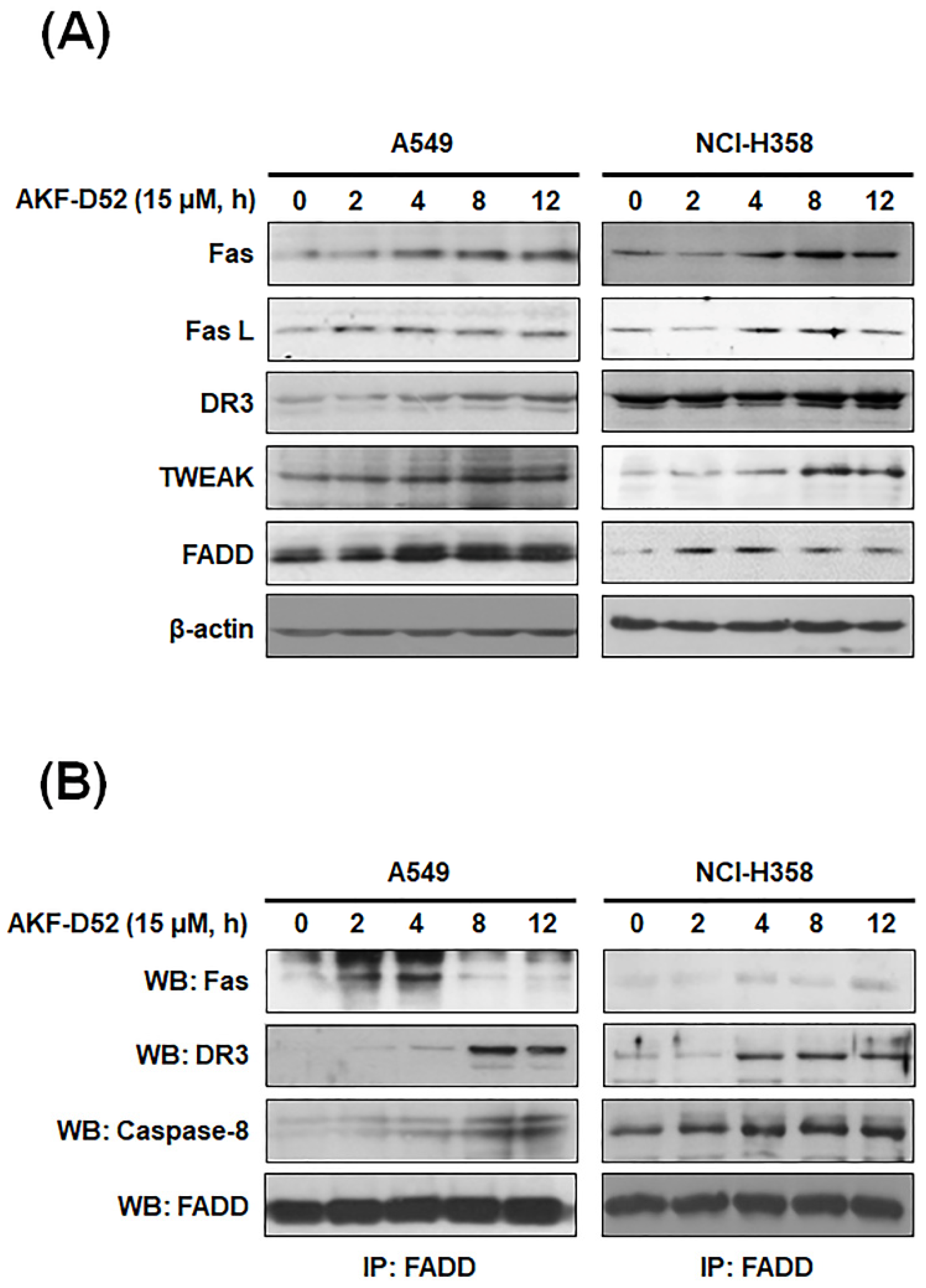 Cancers 13 05849 g004a